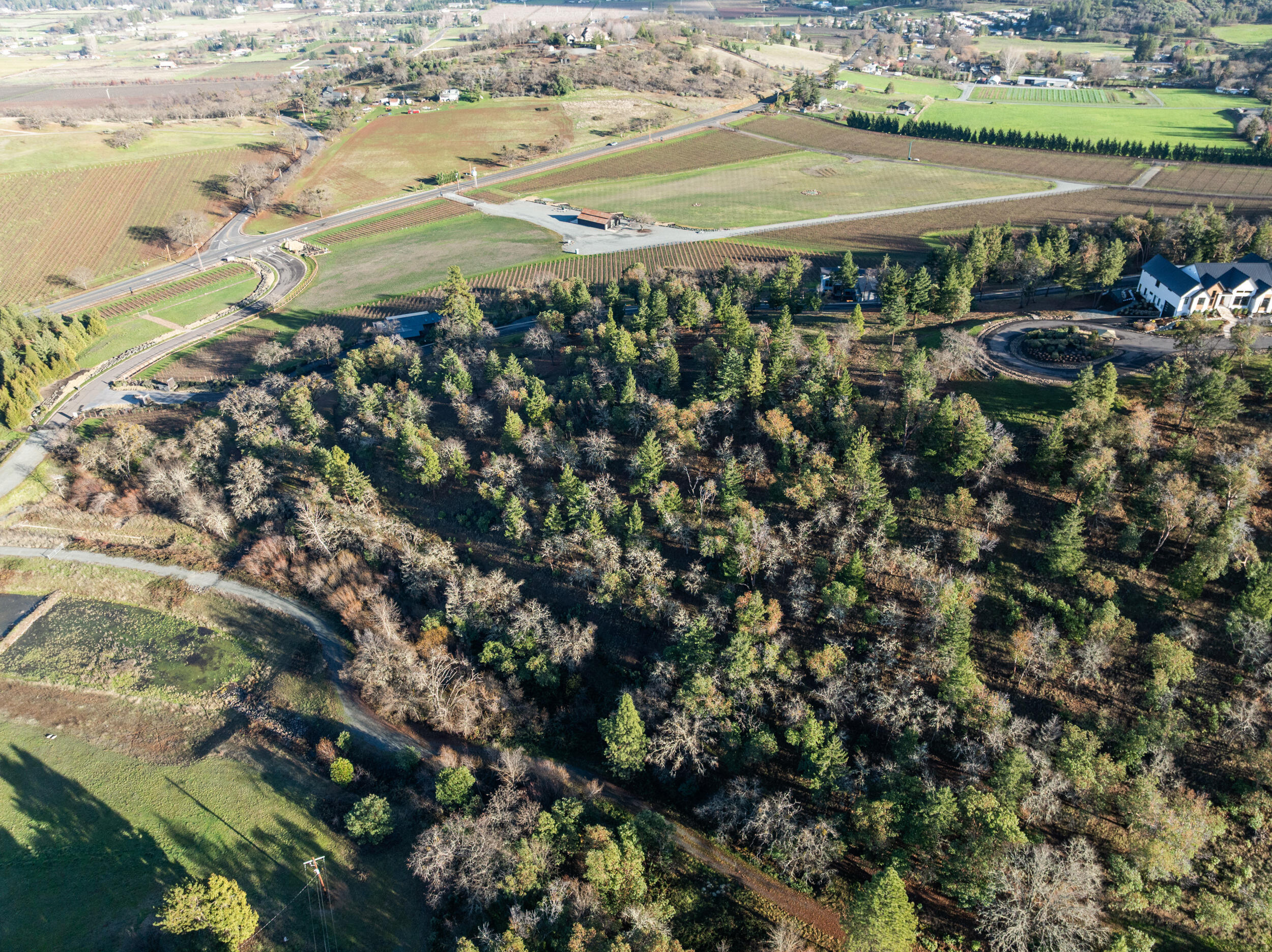 Vineyards At Stage Pass, The - Land