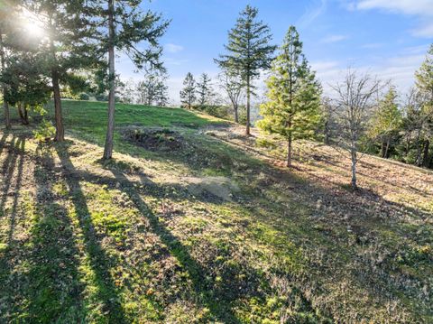 Tiny photo for 70 Vineyard View Circle, Medford, OR 97501 (MLS # 220213166)