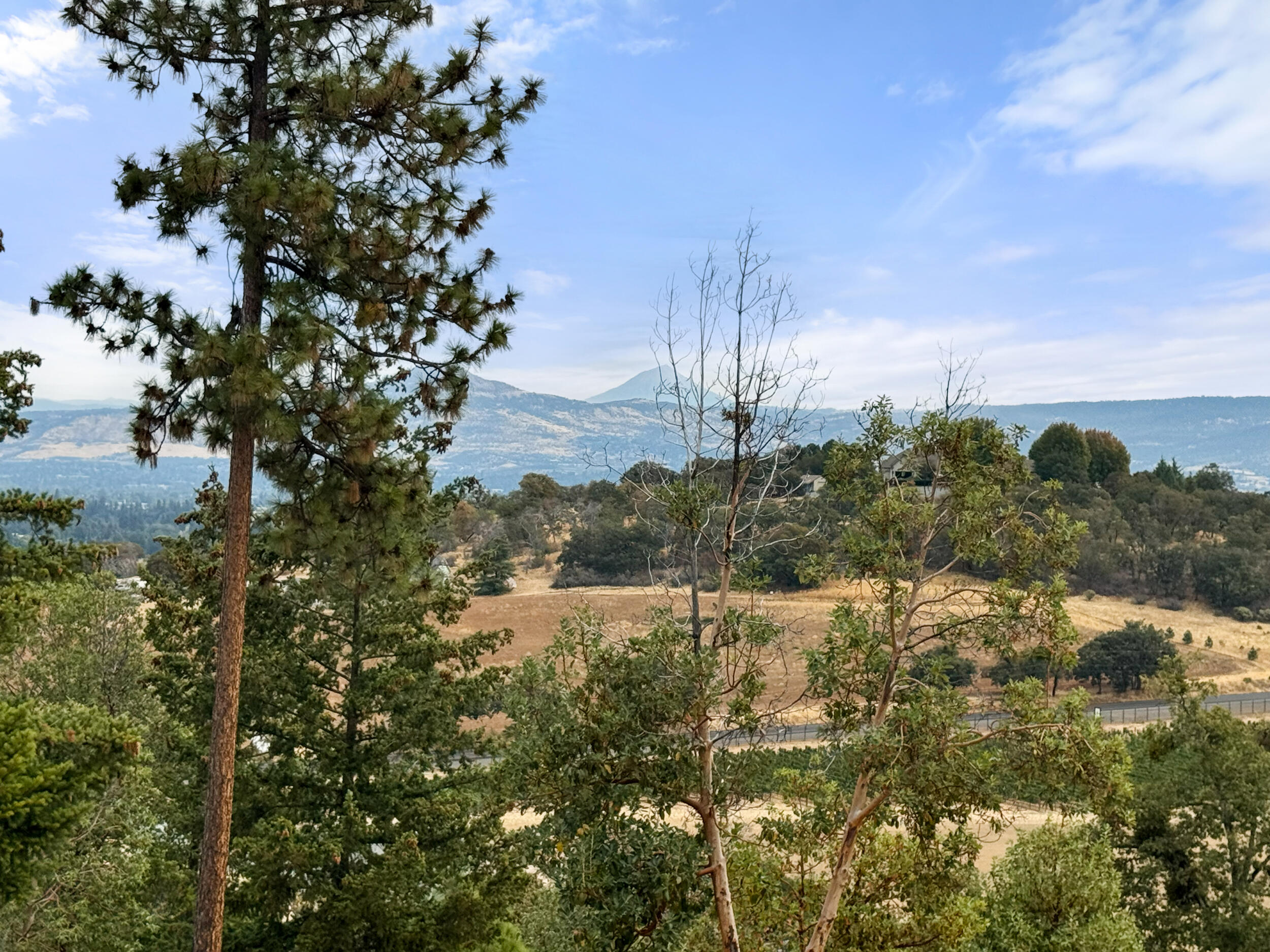 Vineyards At Stage Pass, The - Land