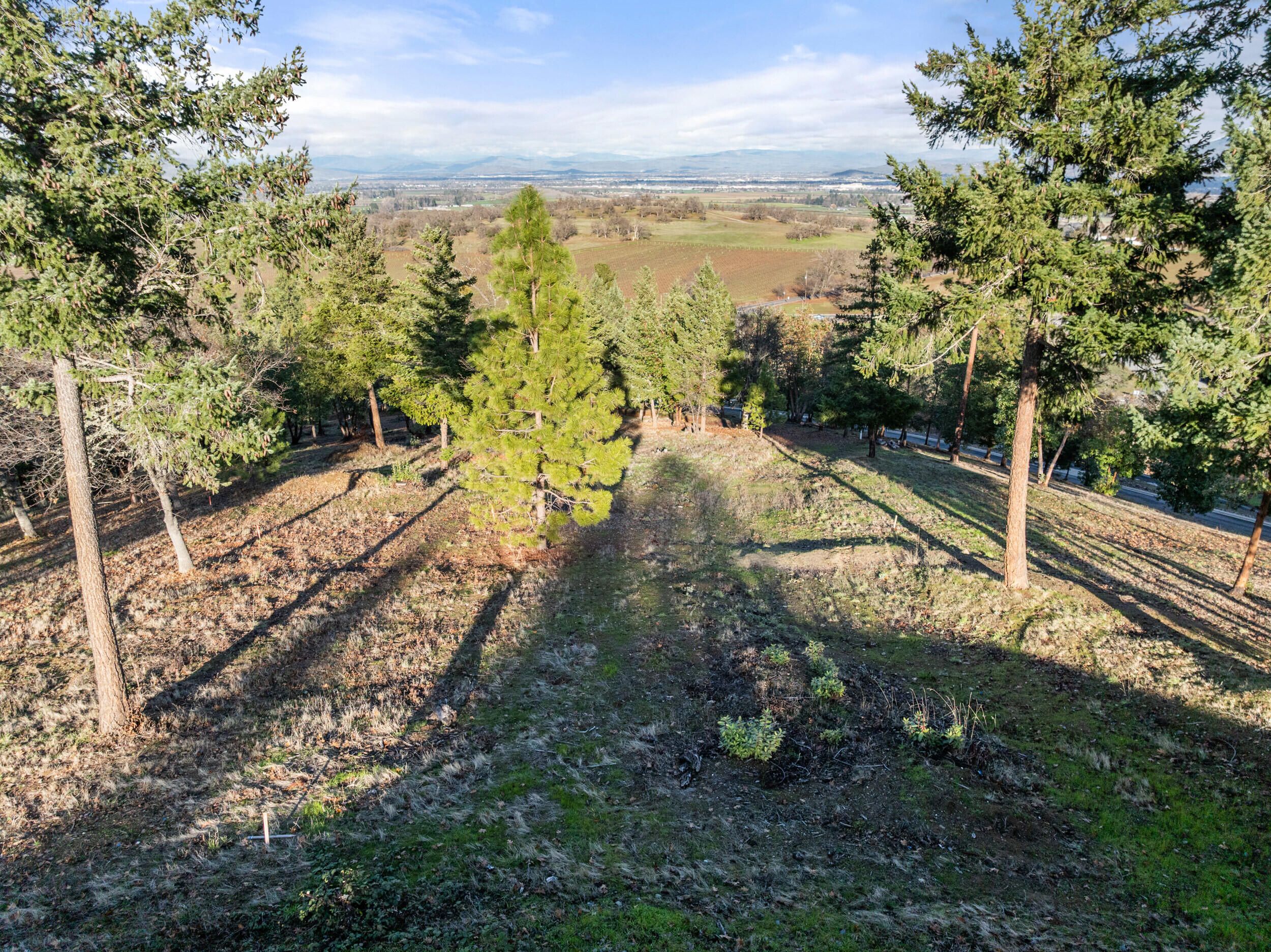 Vineyards At Stage Pass, The - Land