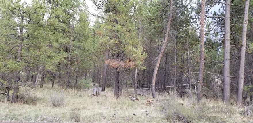 1.4 acres close to the Little Deschutes River, Cascade High Lakes, Mt. Bachelor, Quail Run Golf Course. Bring your building plans.