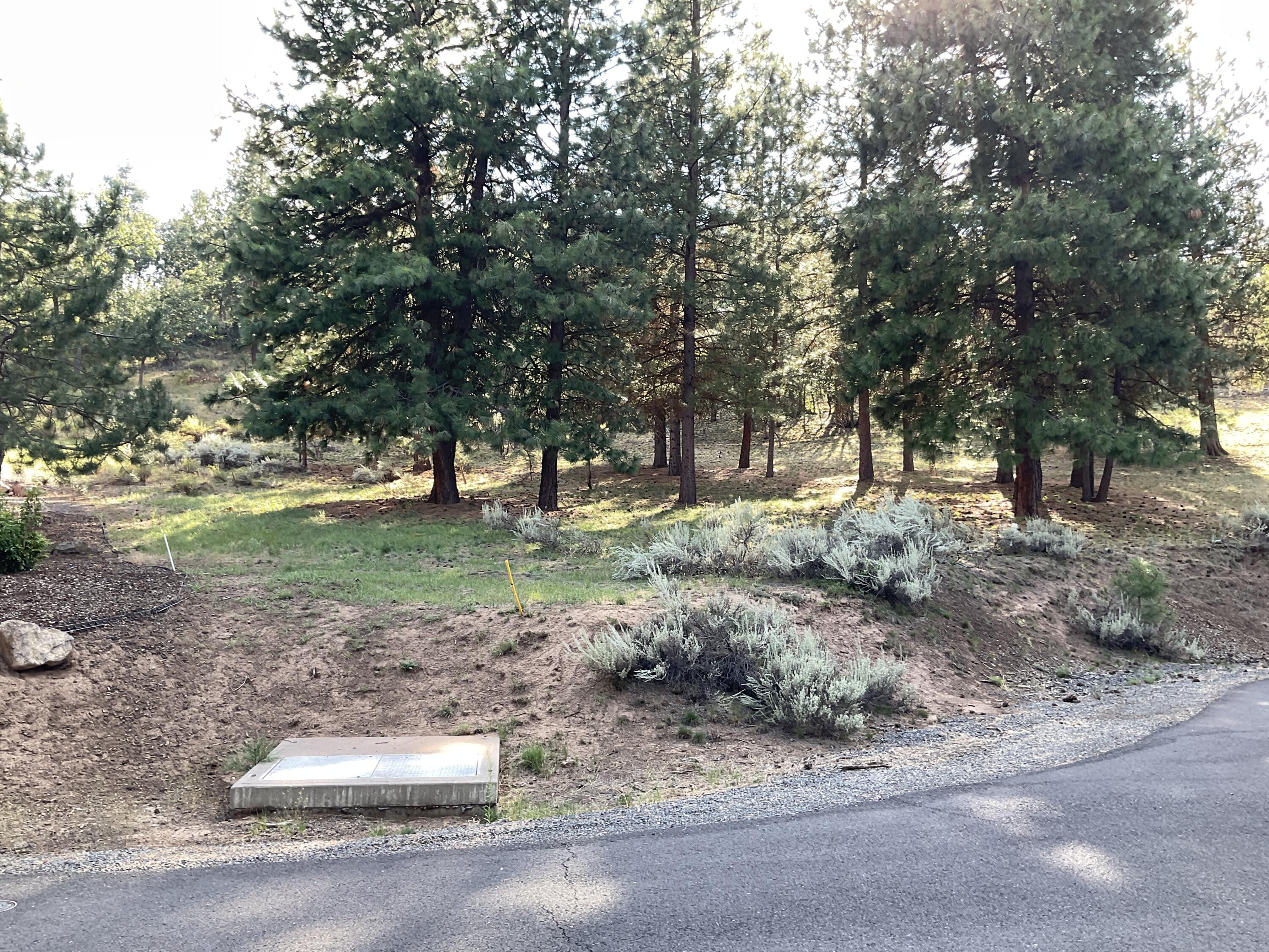 Running YResort - Land