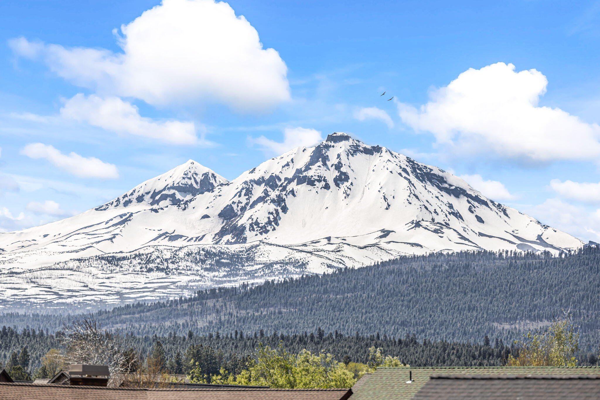 Pine Meadow Vill - Residential