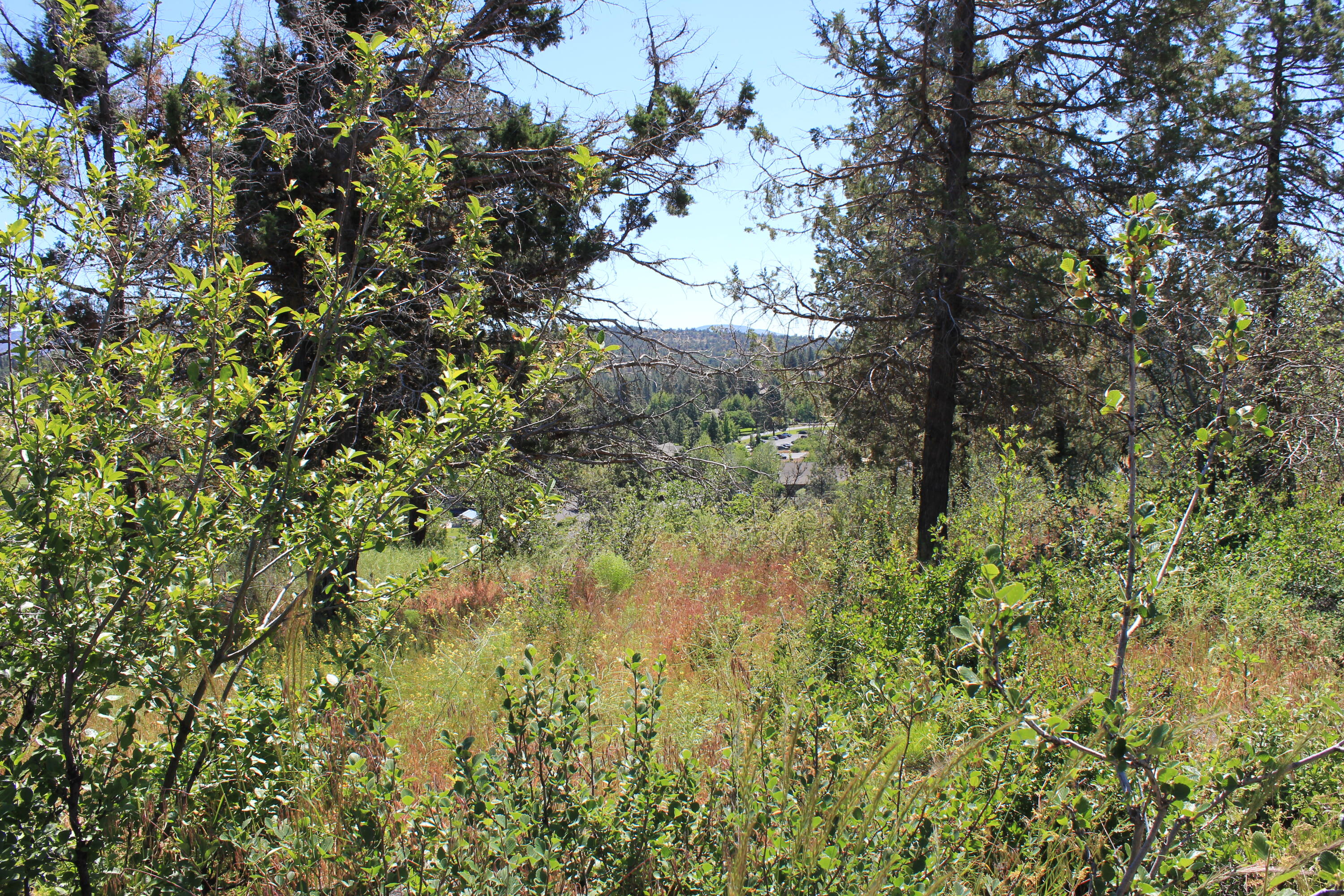 Running YResort - Land