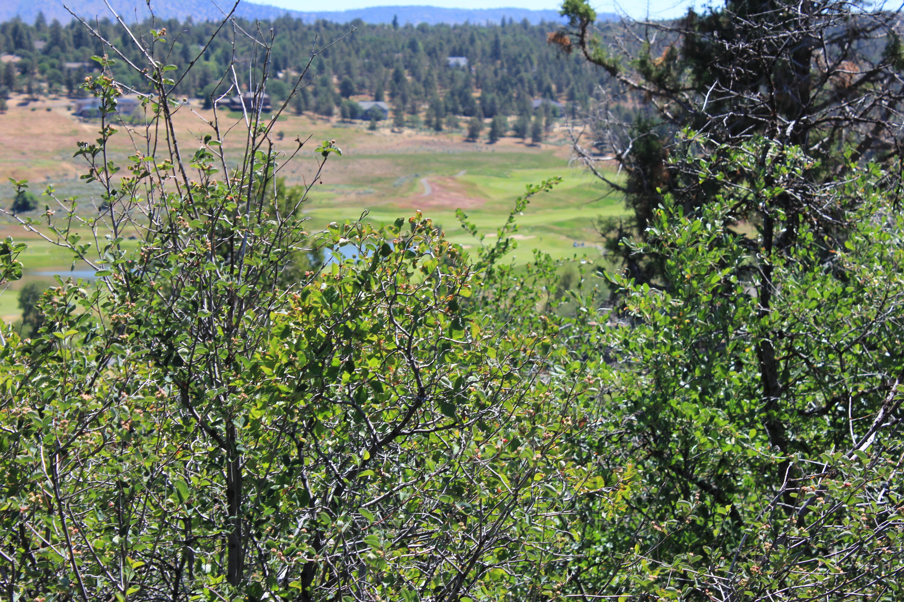 Running YResort - Land