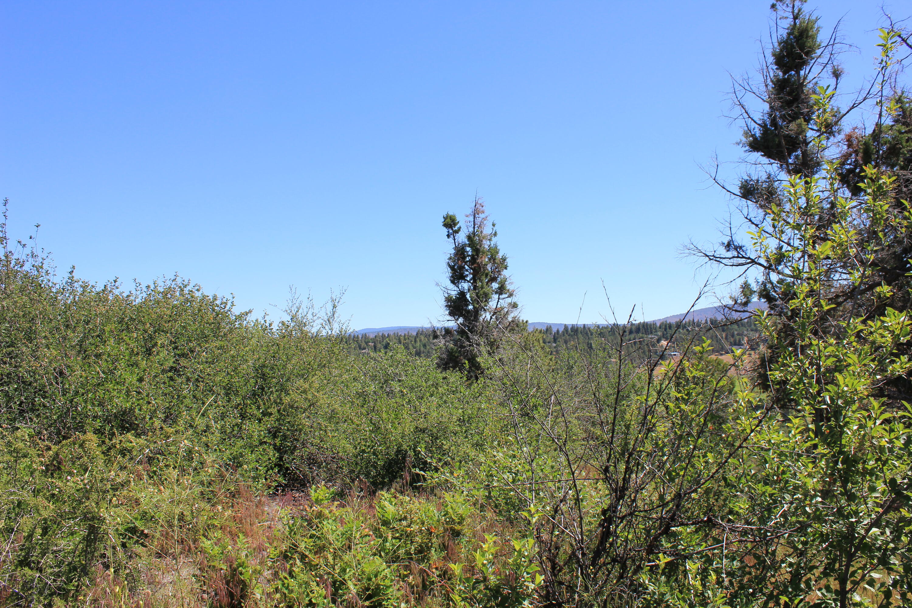 Running YResort - Land