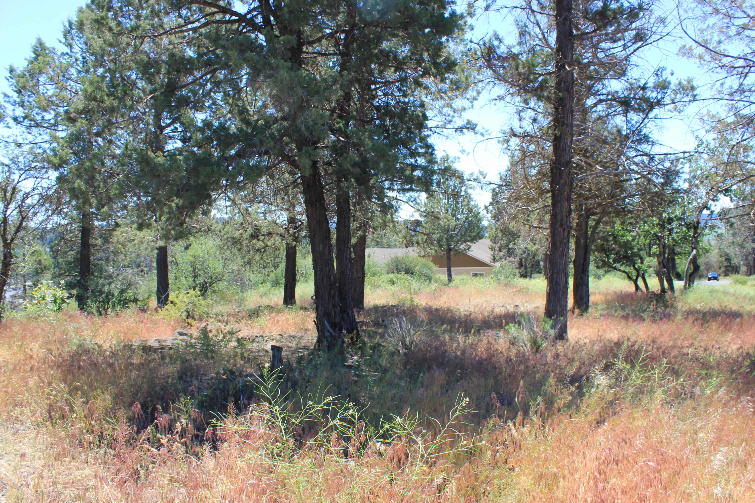 Running YResort - Land