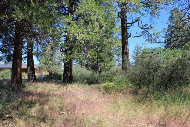 Running YResort - Land