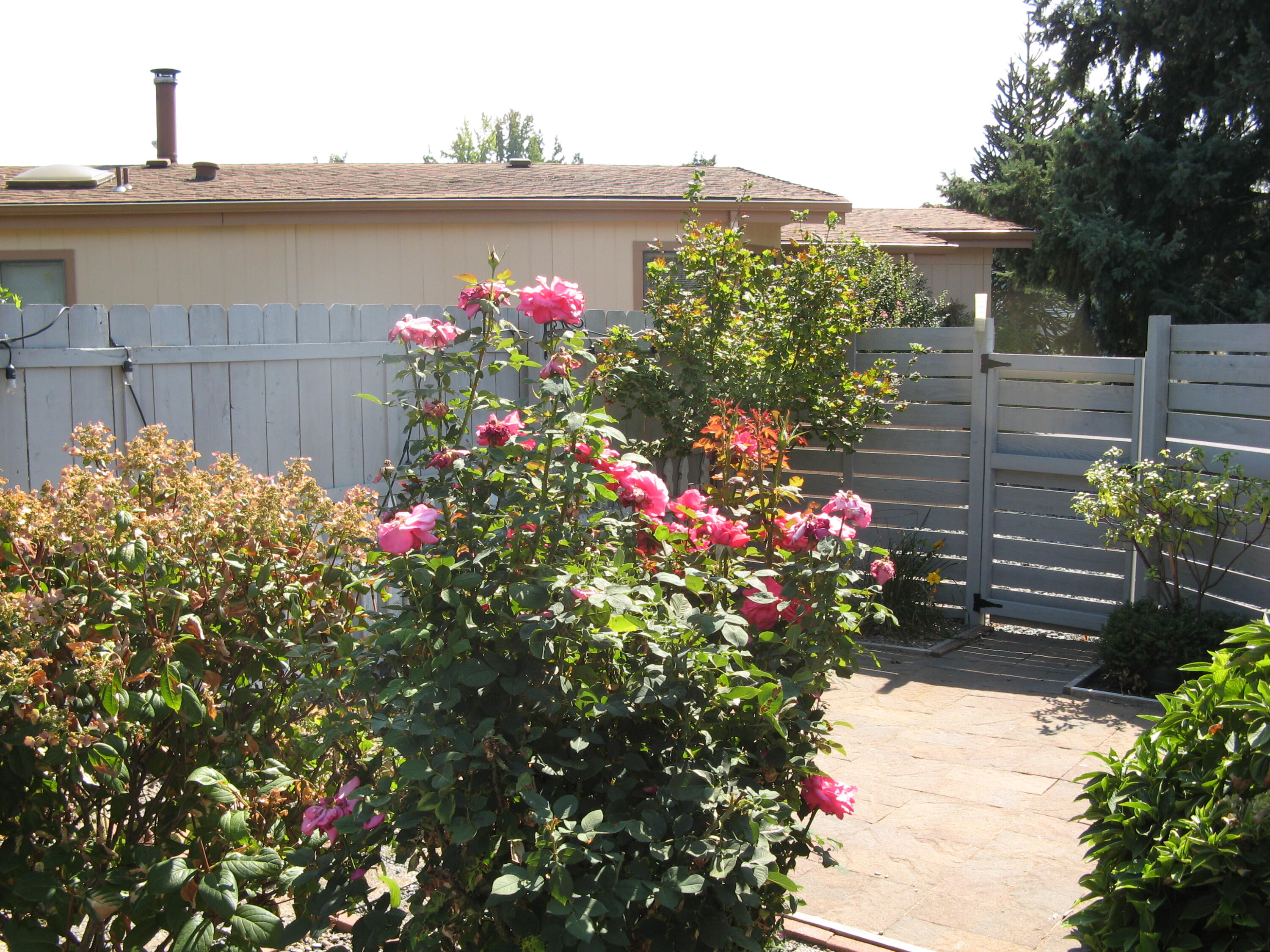 Allen Creek Estates - Residential