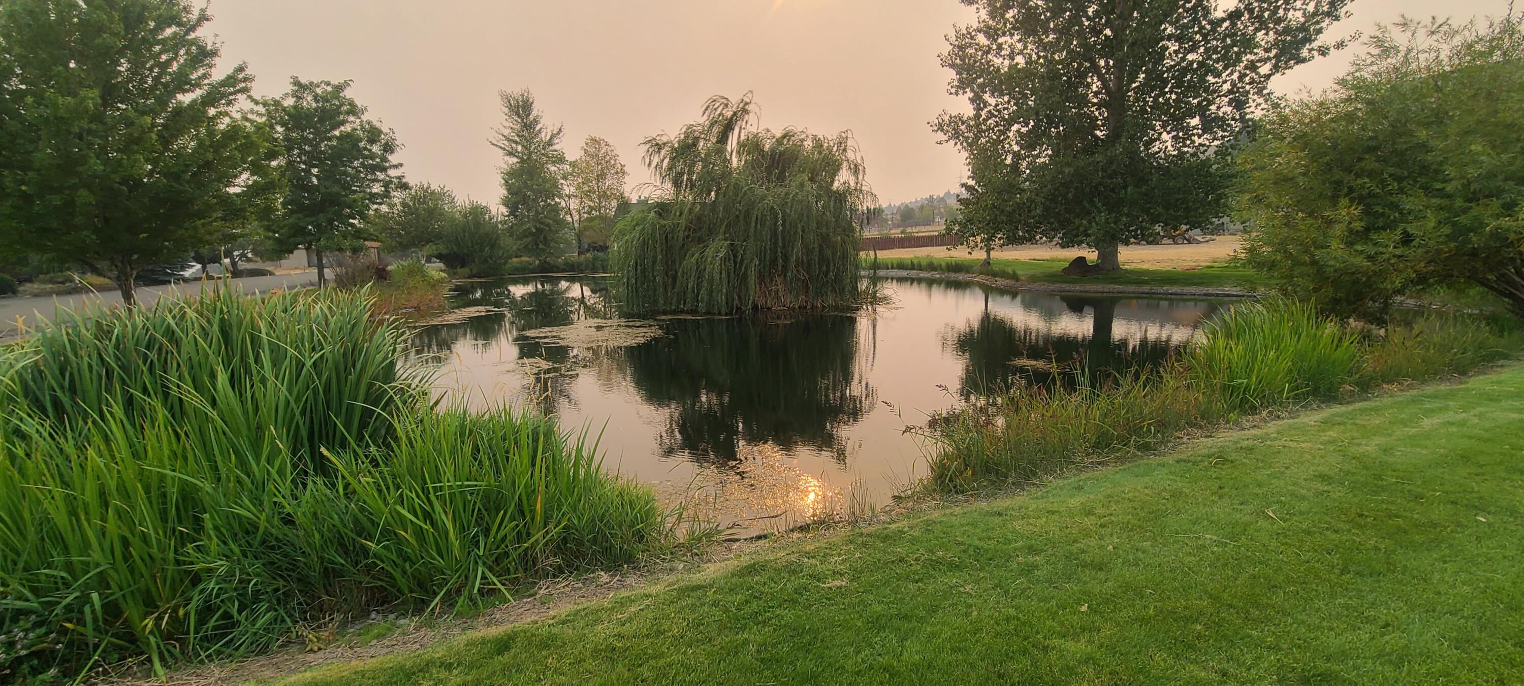 Rivercrest Subdivision Phase 1 - Land