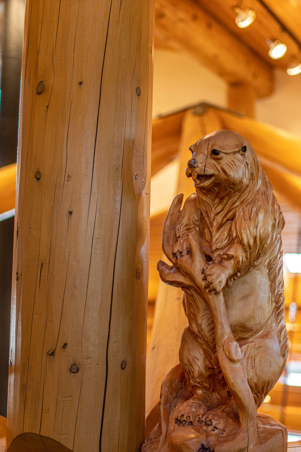 Diamond Bar Ranch - Farm