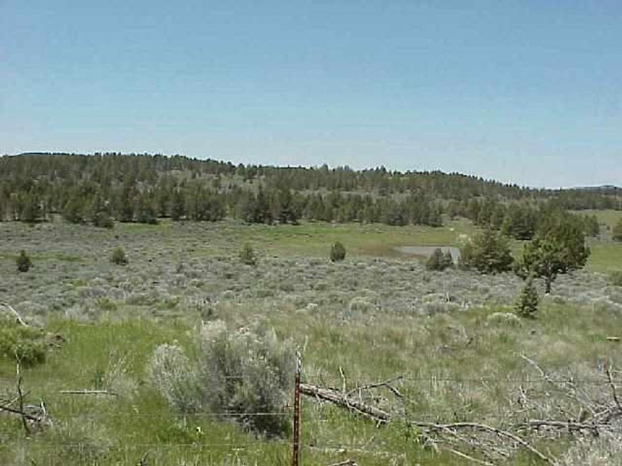 Large Recreational / Homesite Close To Bonanza / Klamath Falls. Power To Property,2 Miles Of Dirt Road Wildlife And Country Living Hardto Beat. Subject To Final Partition