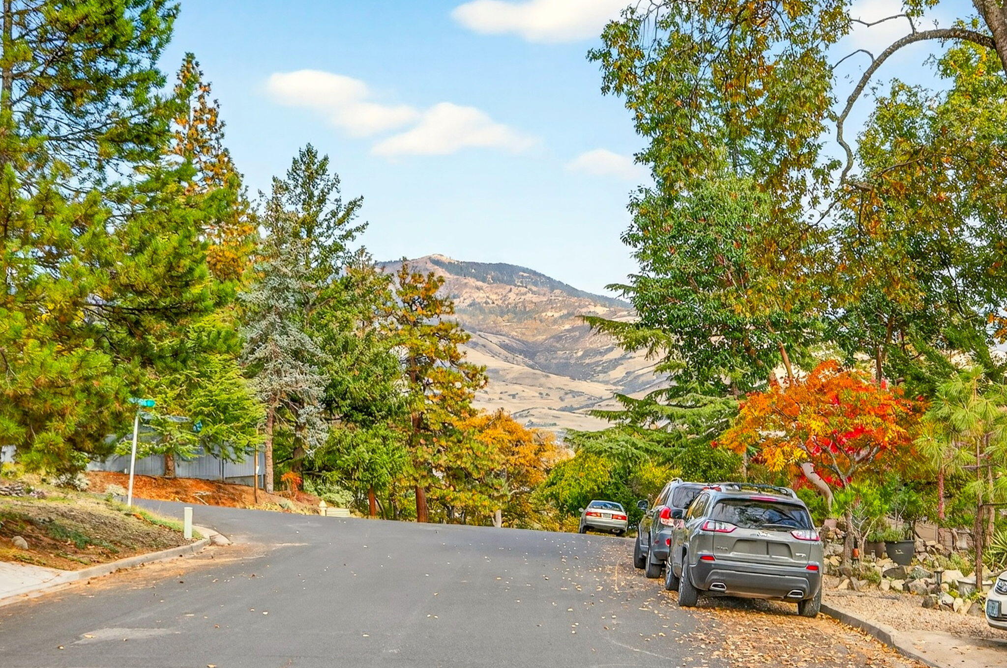 Timber Line Subdivision - Residential
