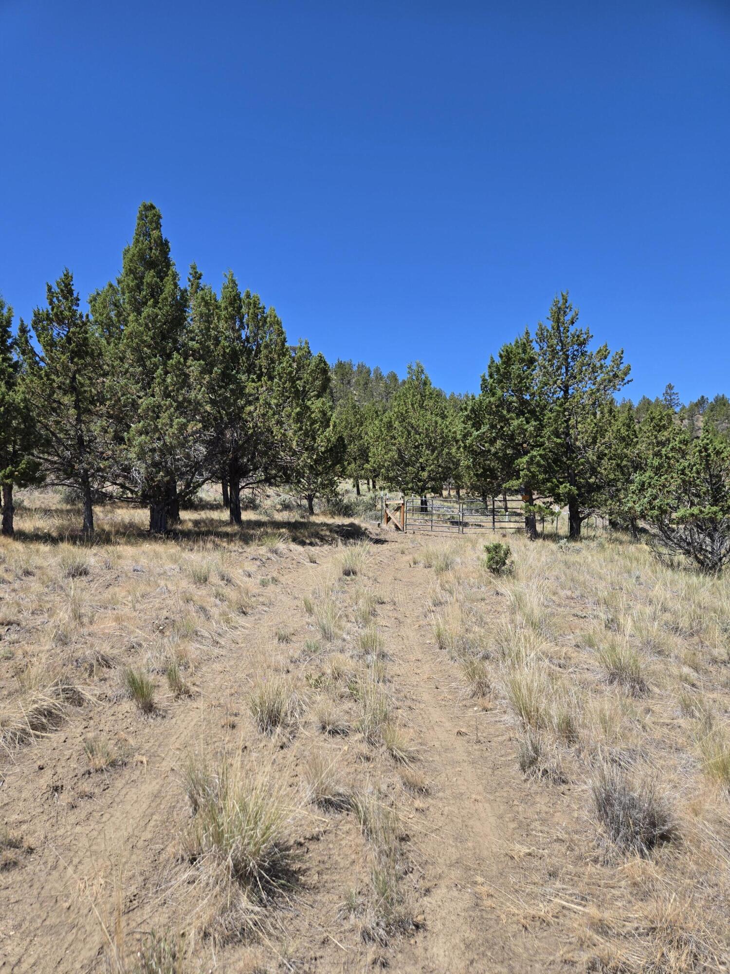 Riverside Ranch - Land