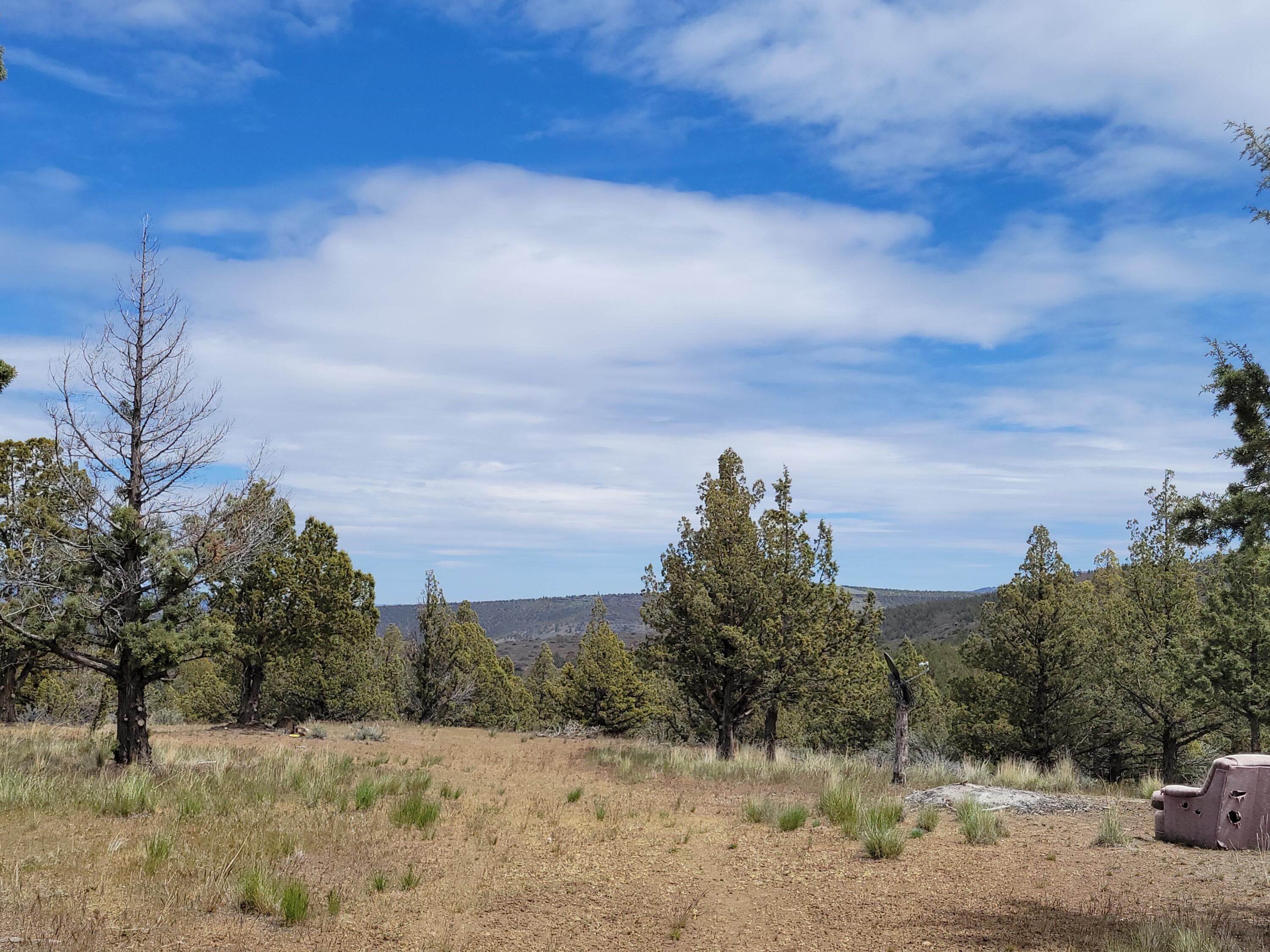 Riverside Ranch - Land