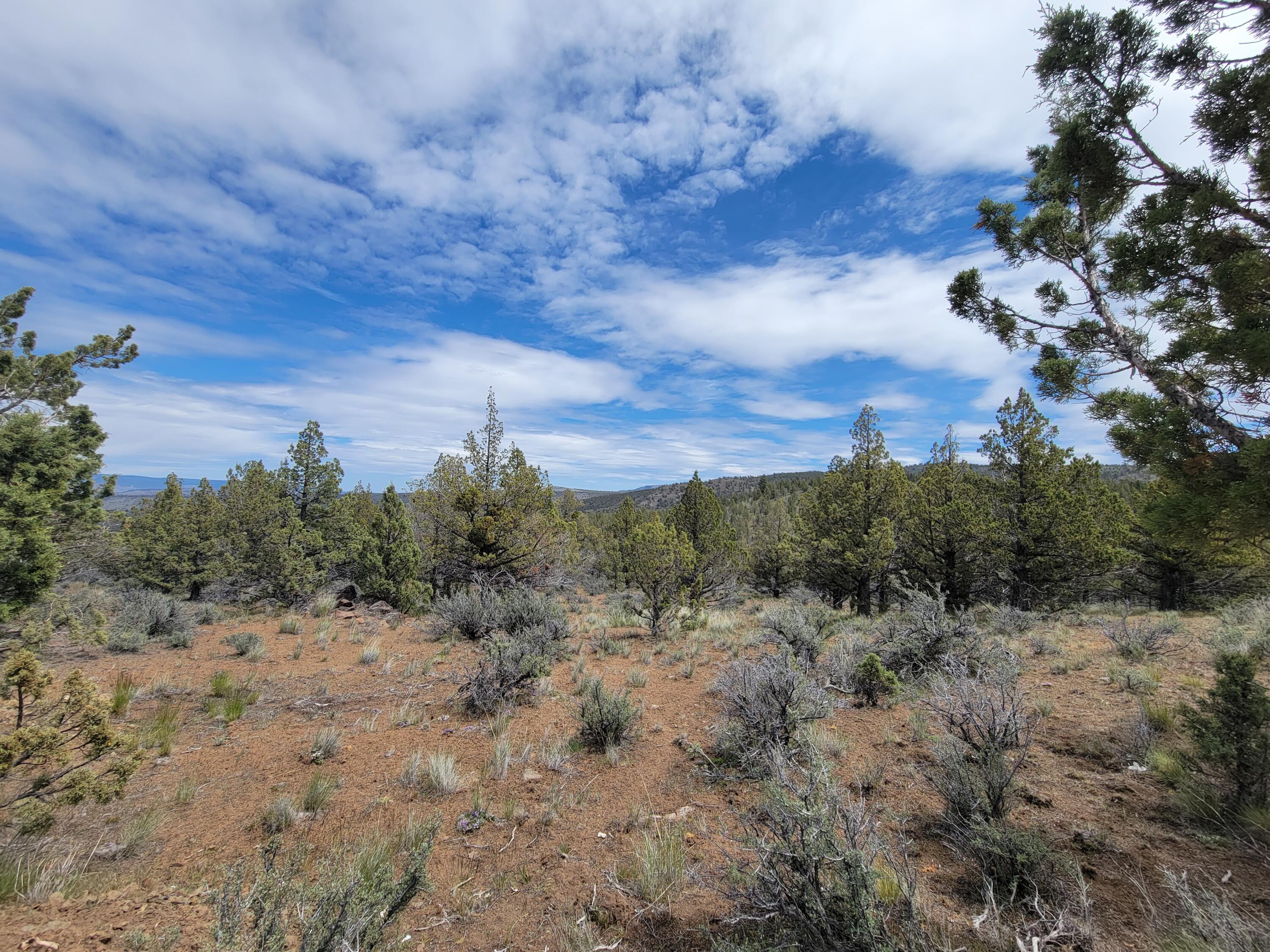 Riverside Ranch - Land