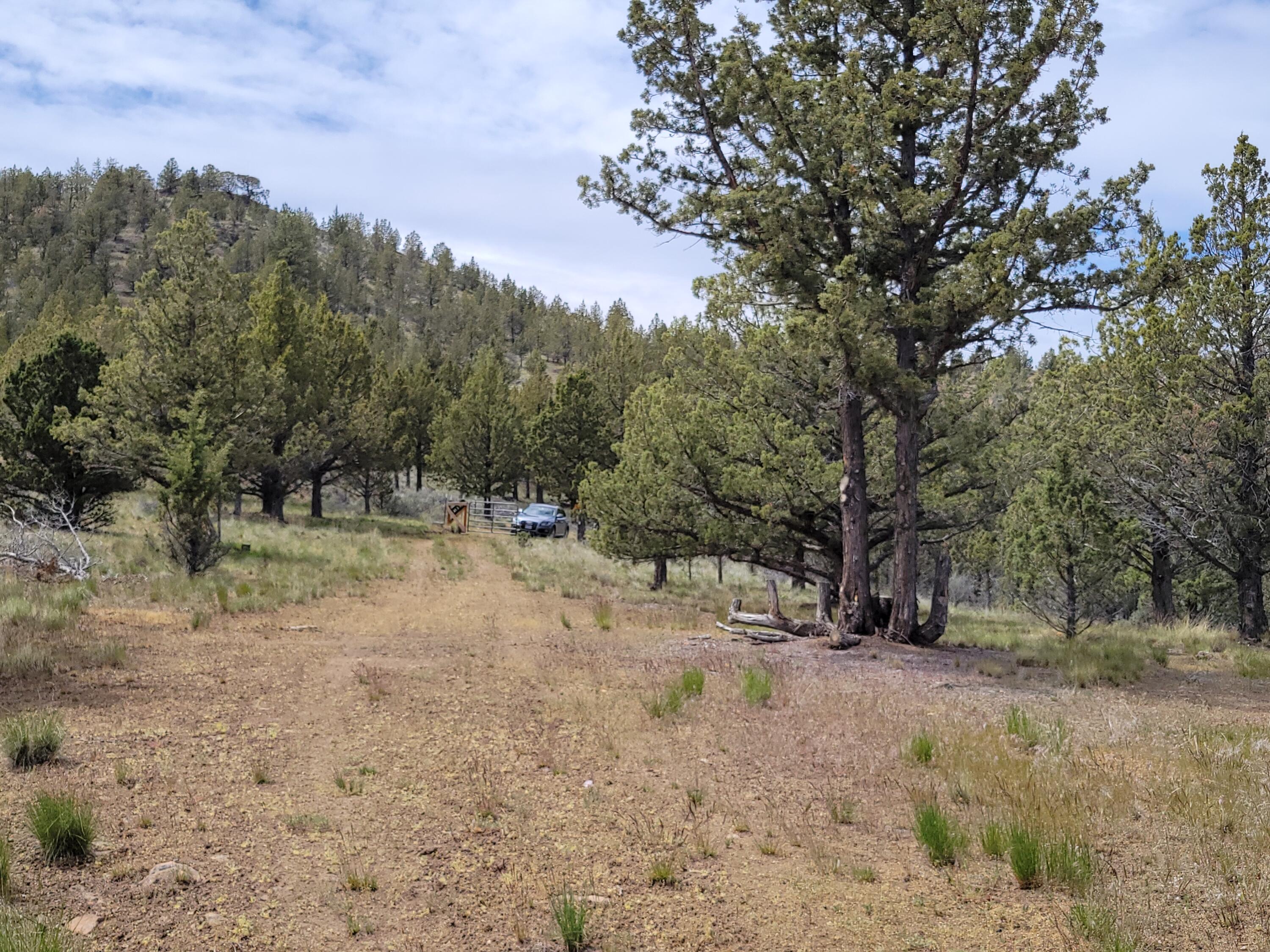 Riverside Ranch - Land