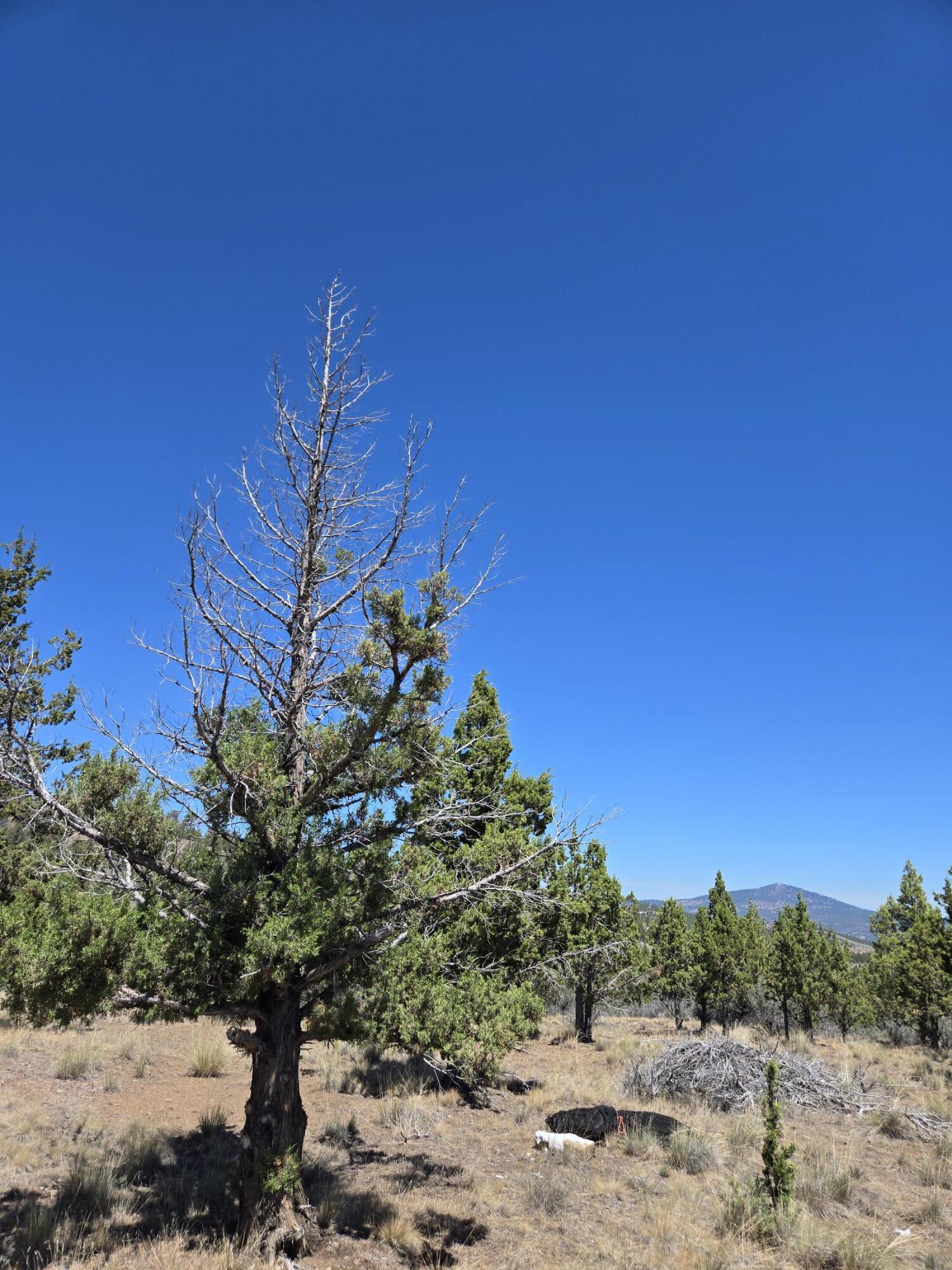 Riverside Ranch - Land