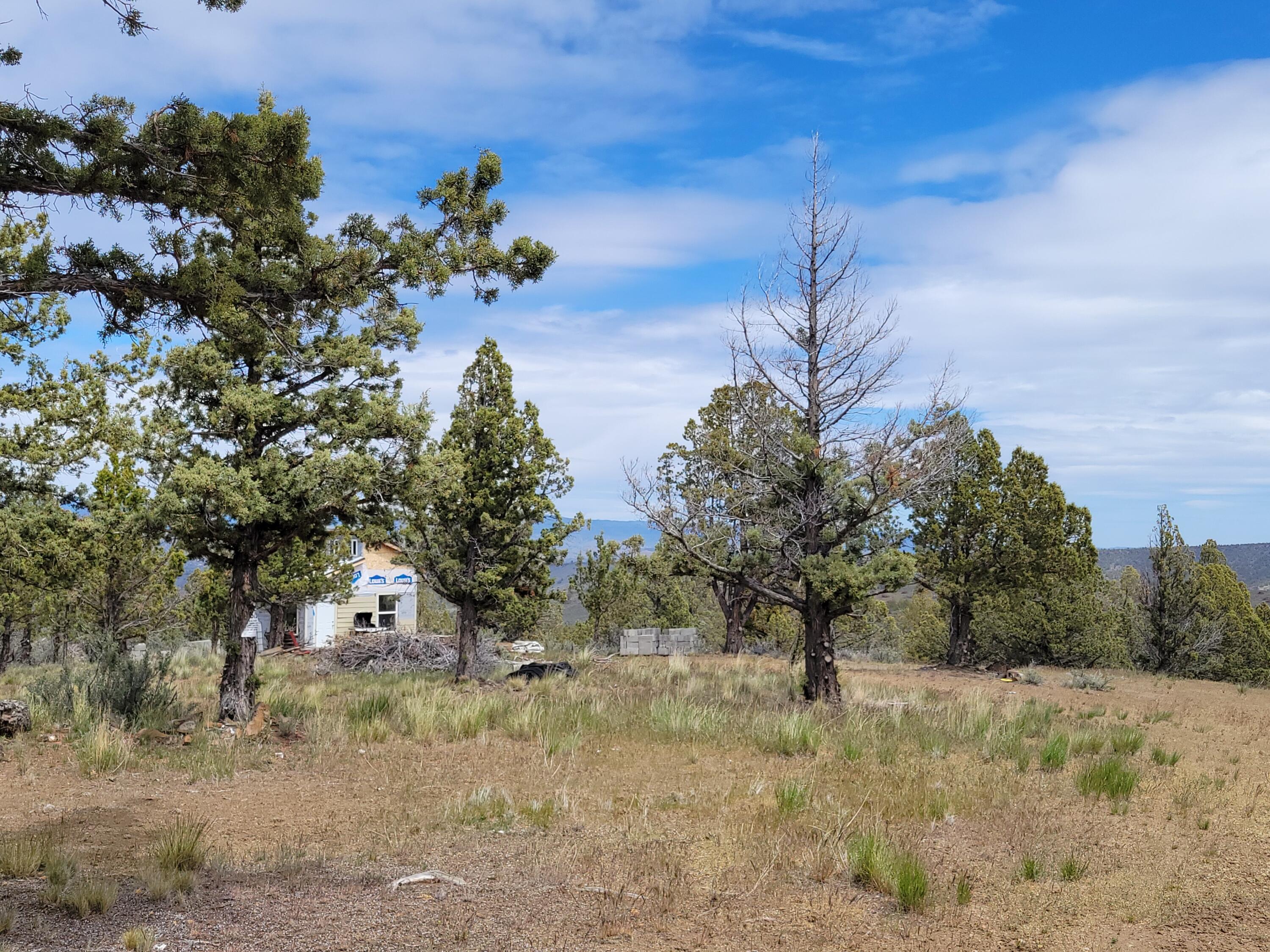 Riverside Ranch - Land