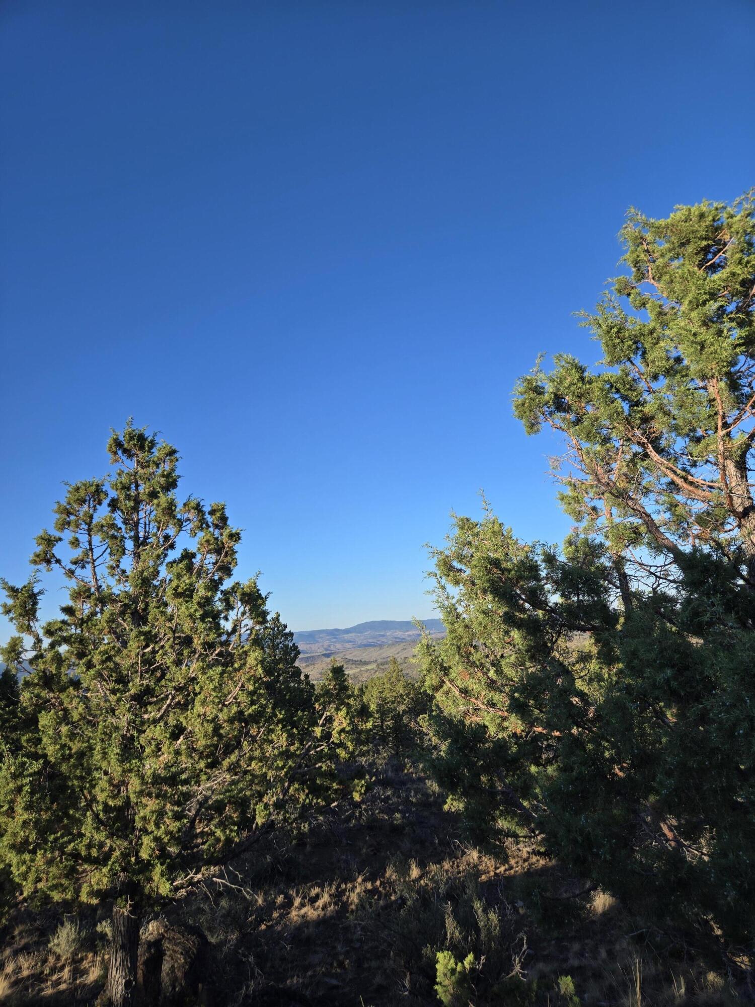 Riverside Ranch - Land