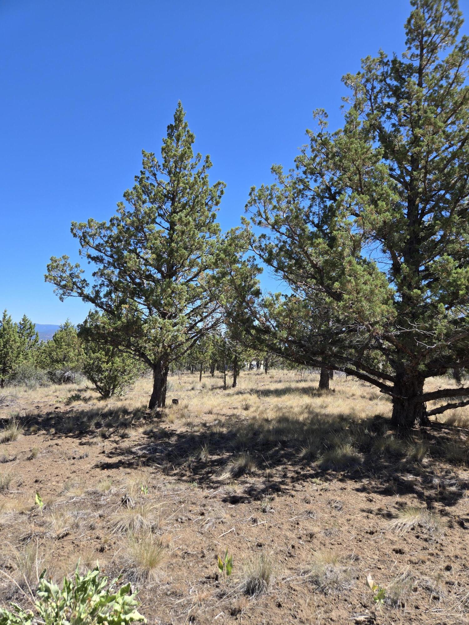 Riverside Ranch - Land