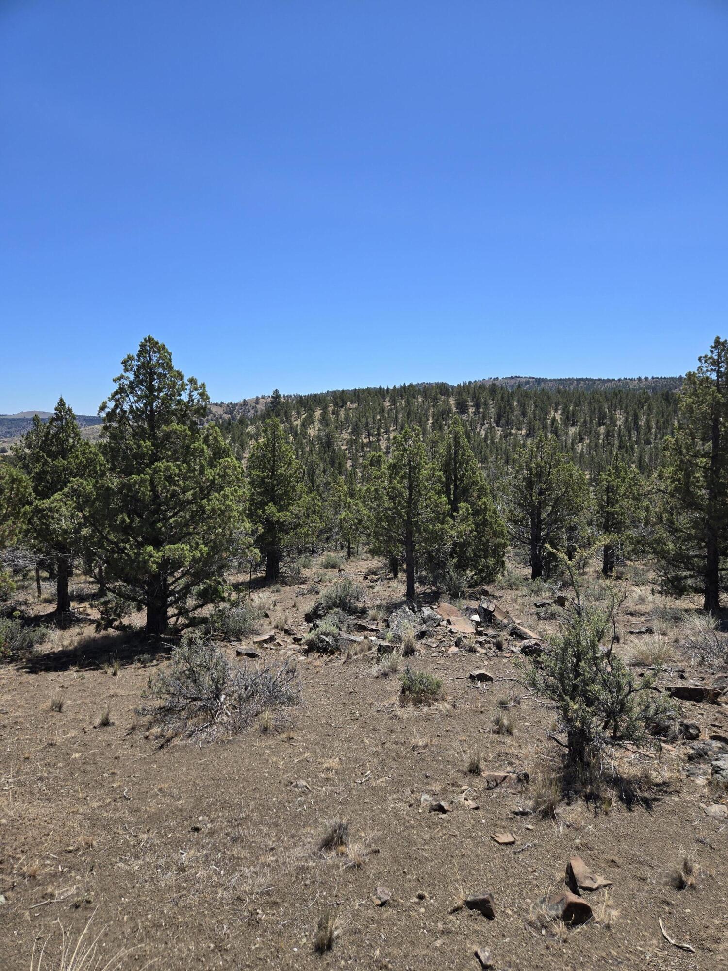 Riverside Ranch - Land