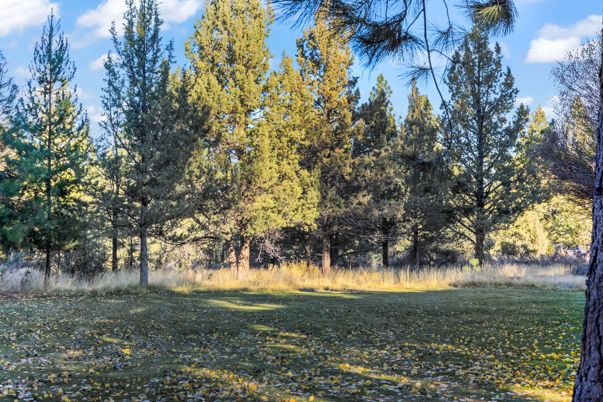 Mt Bachelor Village - Residential