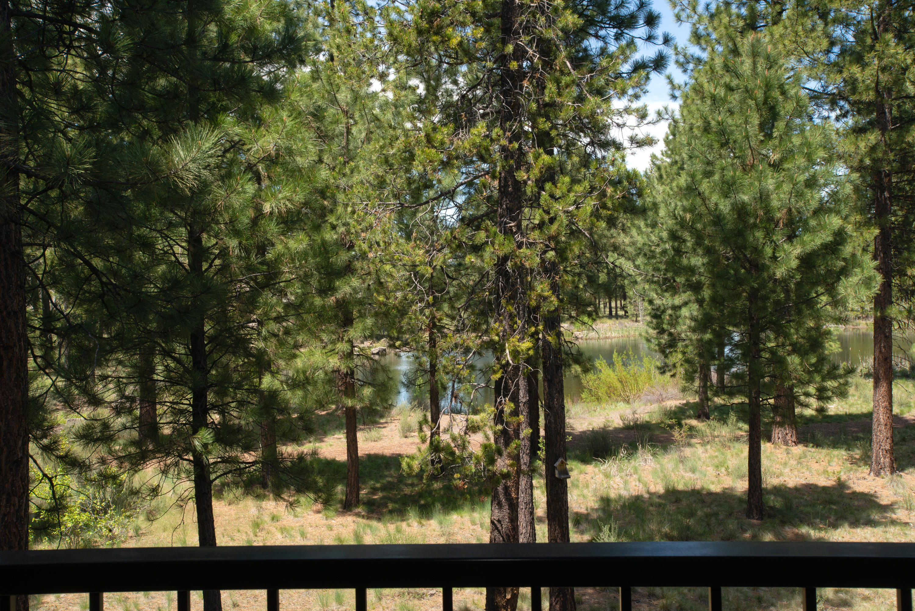 Caldera Springs - Residential