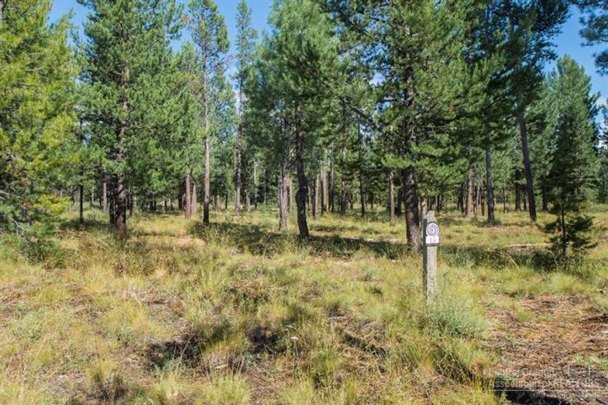 Now is the time to build in Caldera Spring while interest rates and building costs are still low. This 1/3 acre lot has lots of common to the rear and is an easy, flat building site. Swim, bike, run, work out and practice your short game on the great par 3 course.
