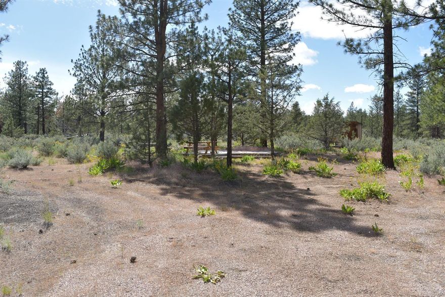 40 acres of timber land with mountain views! Borders public land! Nicely treed with Ponderosa Pines, this recreation/timber off grid parcel lies about midway between Sisters and Lake Billy Chinook. Borders USFS land to the West and the Squaw Creek Recreation Area and national grasslands lie 3/4 mile to the East. Roads in the vicinity are closed to the public much of the year, yet landowners are allowed access, contributing to unbelievable peace and quiet. Includes an undeveloped cased well, outdoor shower enclosure and composting toilet.