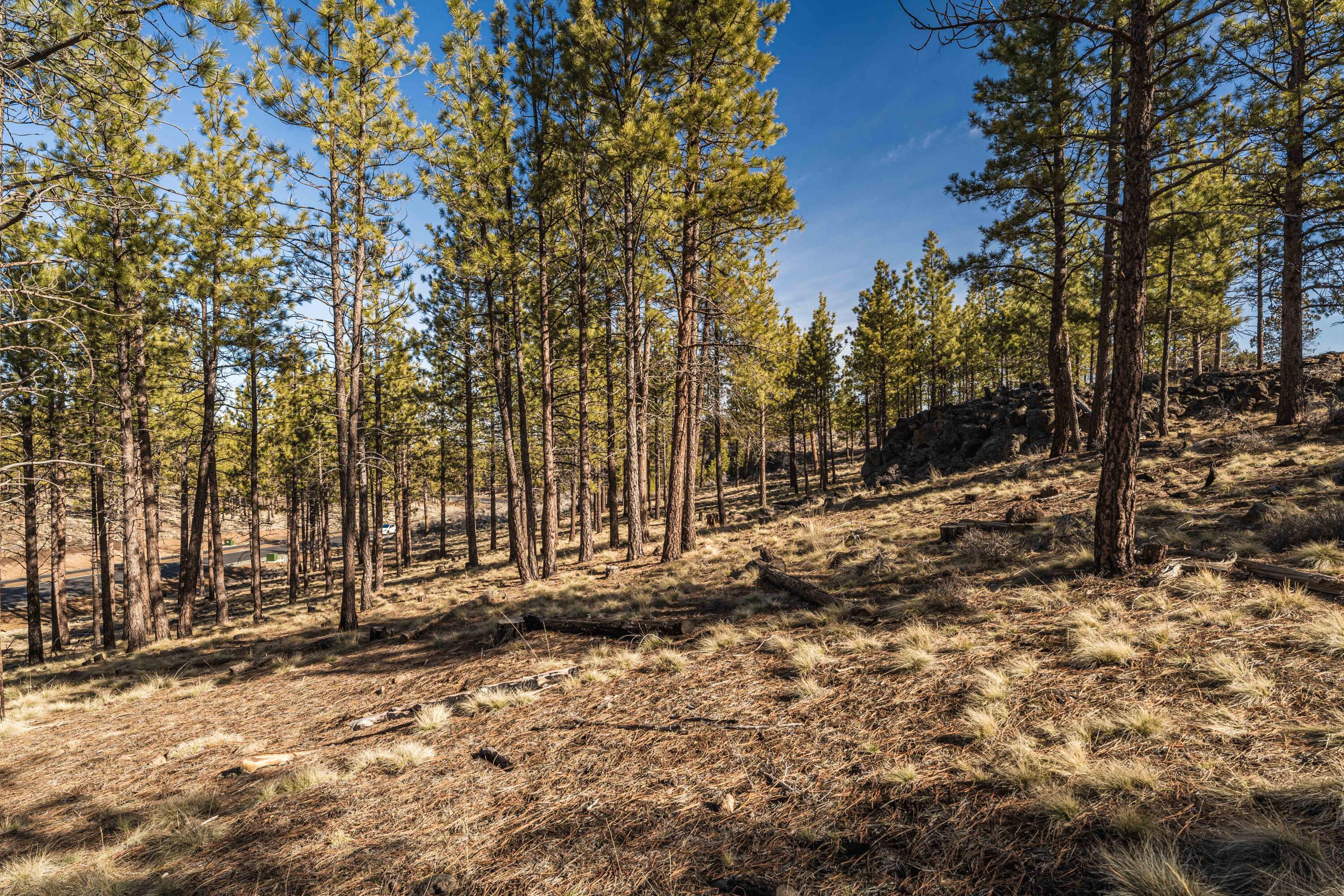 Skyline Ranch - Land