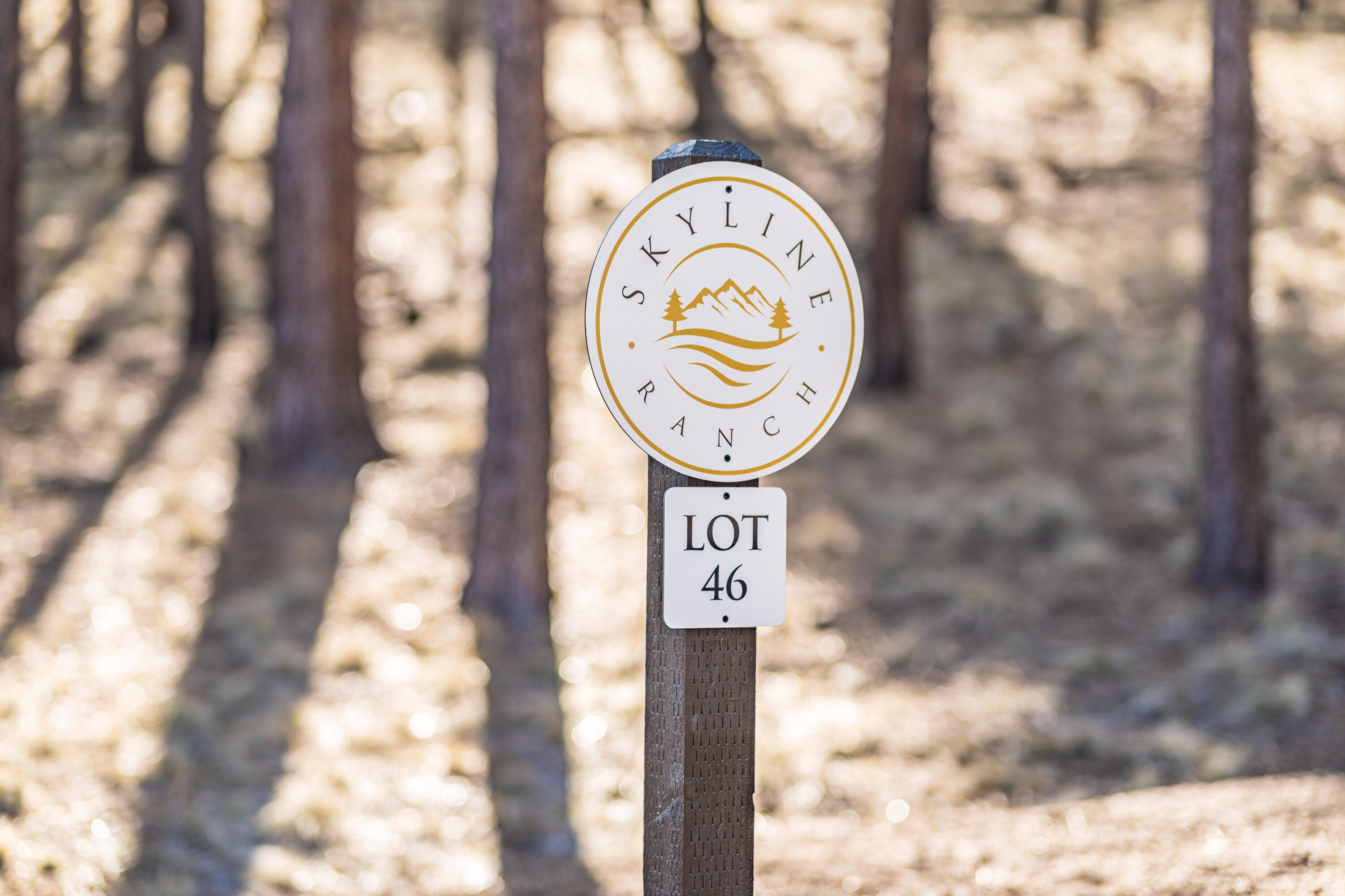 Skyline Ranch - Land