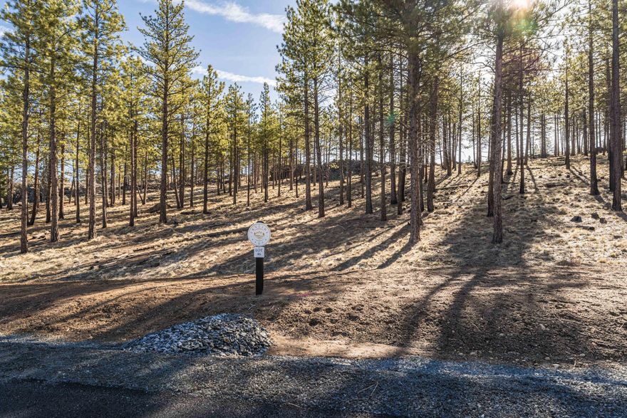 Nestled in a stunning section of Northwest Bend, Skyline Ranch offers exquisite, small acreage homesites, set amongst native pines and junipers. With natural rock outcroppings and 2.7 acres of well treed property, Lot 46 is the perfect for your future custom home. This one of a kind neighborhood, created by long time Bend residents who have carefully curated a unique and private development, is bordered by Shevlin Park, Bend's iconic 981 acre refuge. From here, enjoy easy access to the many amenities of Bend's NW quadrant, both those already available and those coming in the near future.