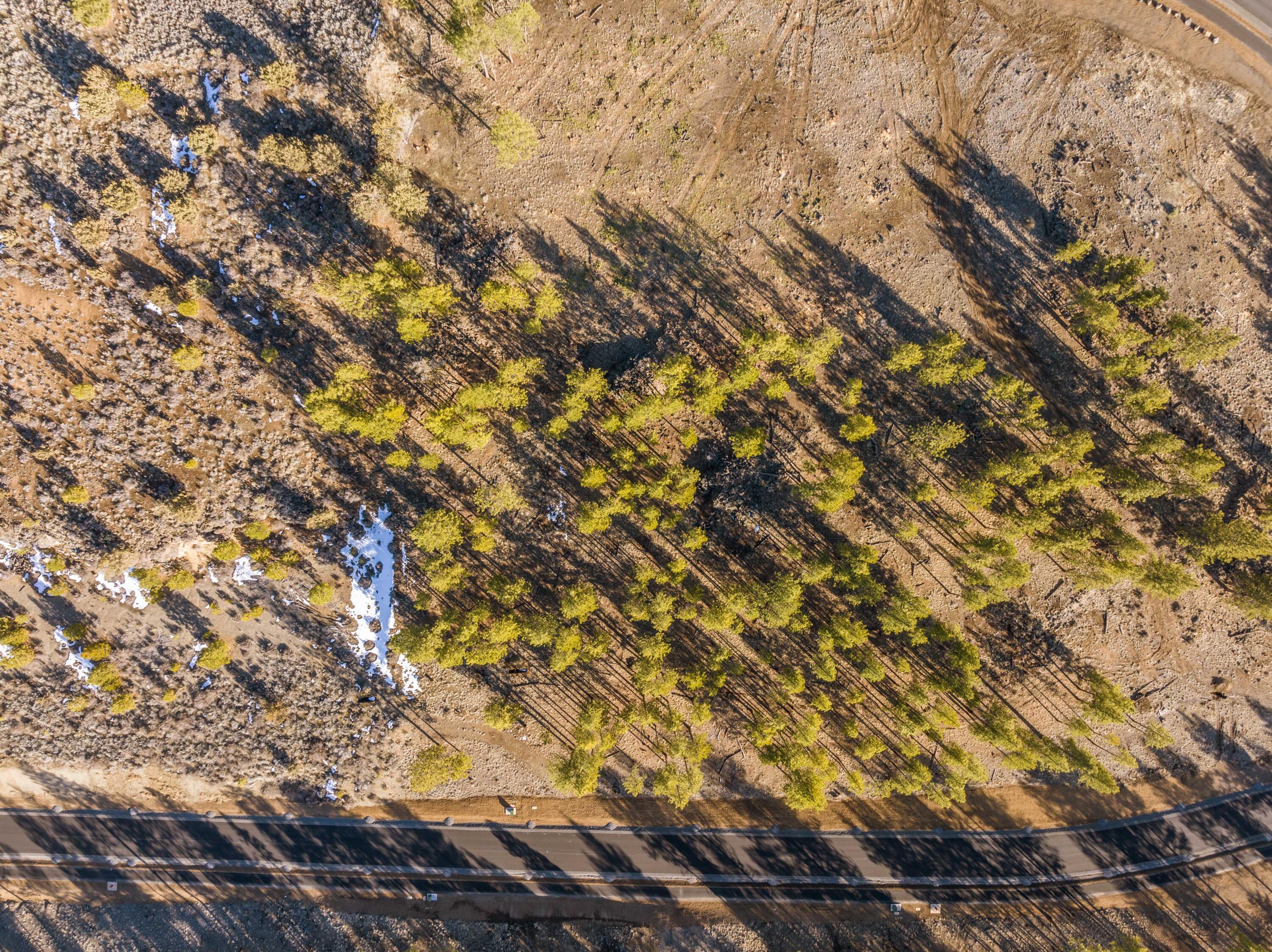 Skyline Ranch - Land