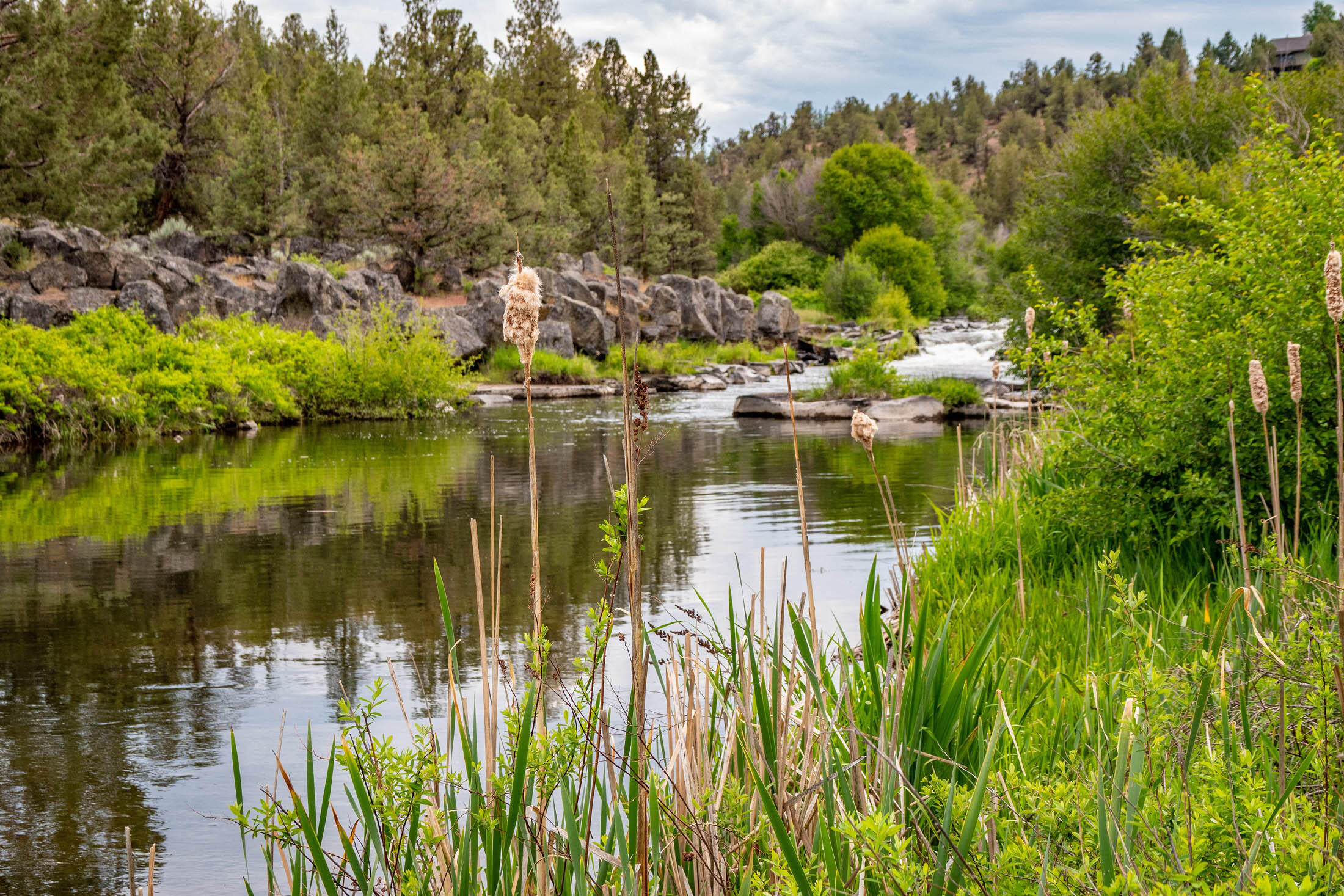 Deschutes River Ranc - Land