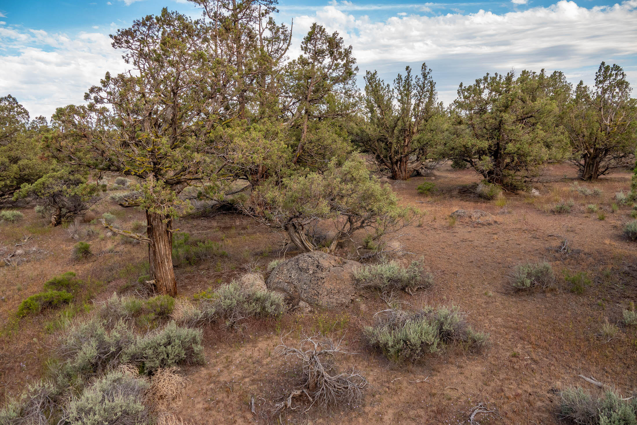Deschutes River Ranc - Land