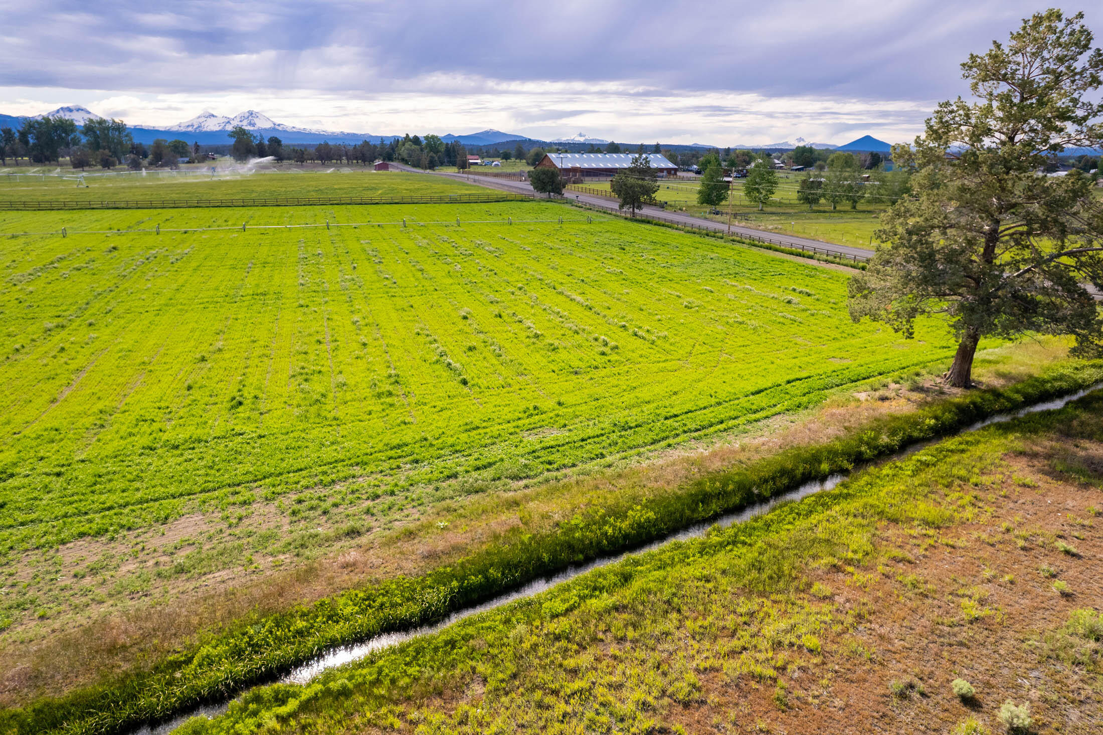 Deschutes River Ranc - Land