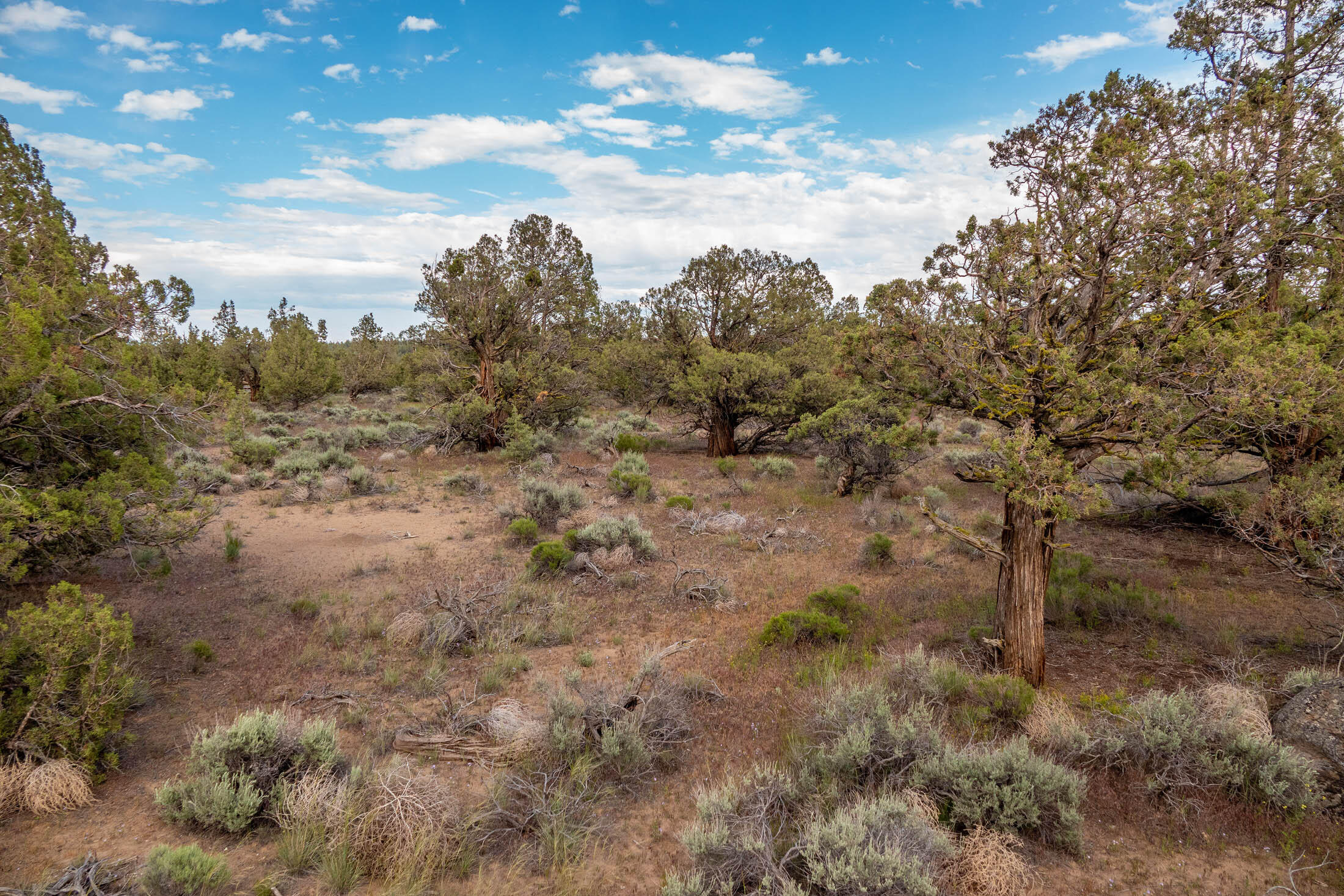 Deschutes River Ranc - Land