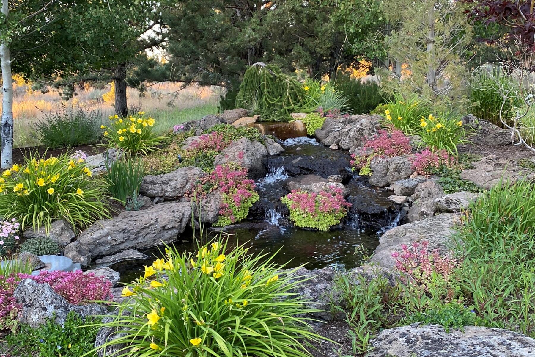 Boonesborough - Residential