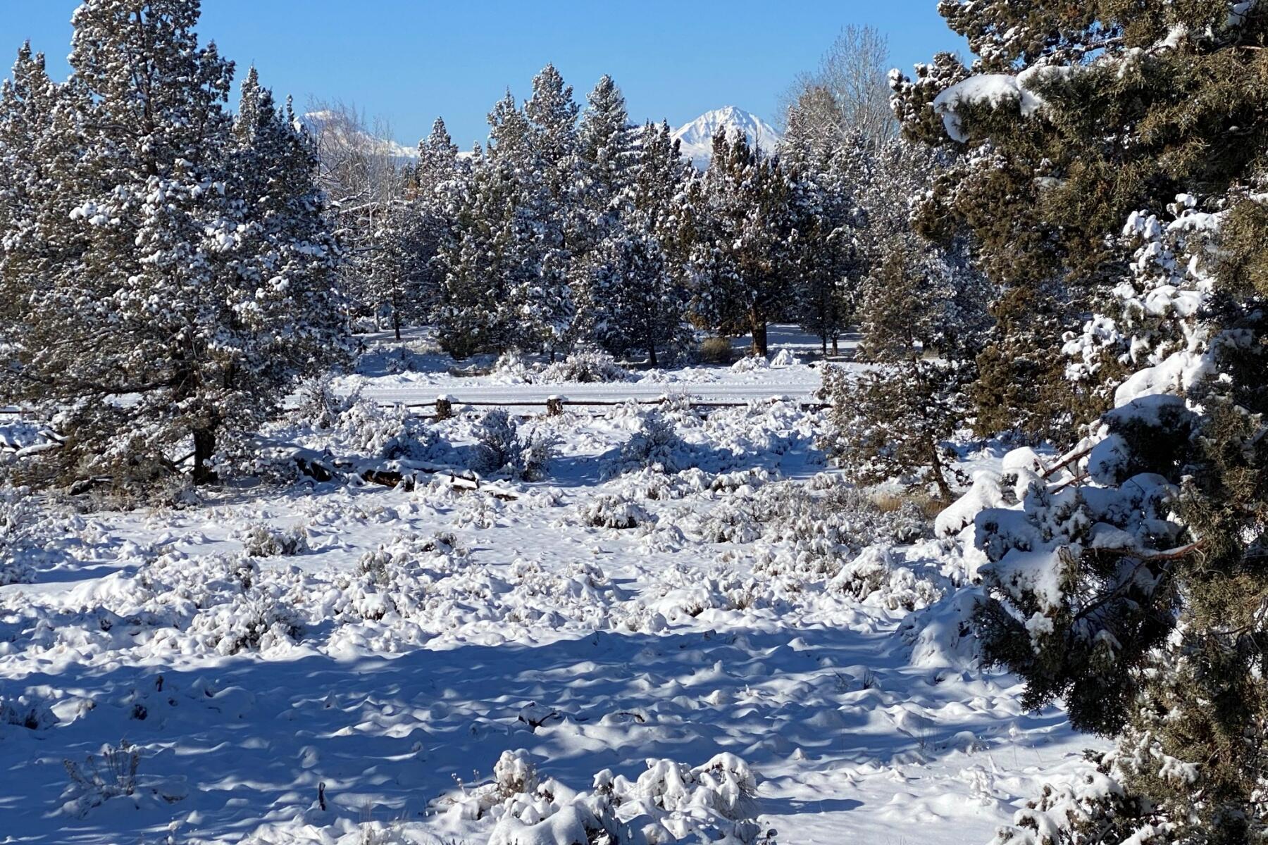 Boonesborough - Residential