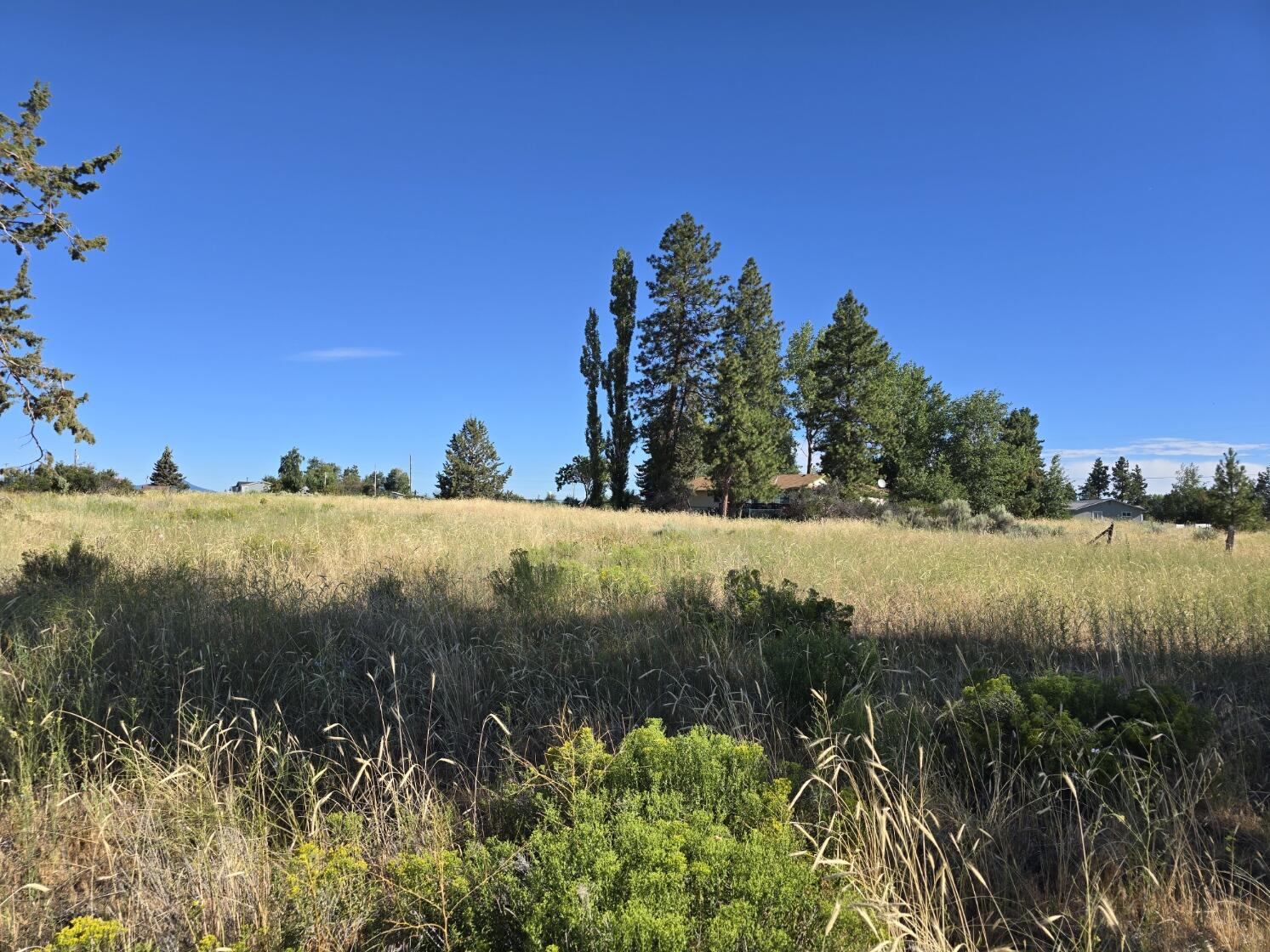 Oregon Shores - Land