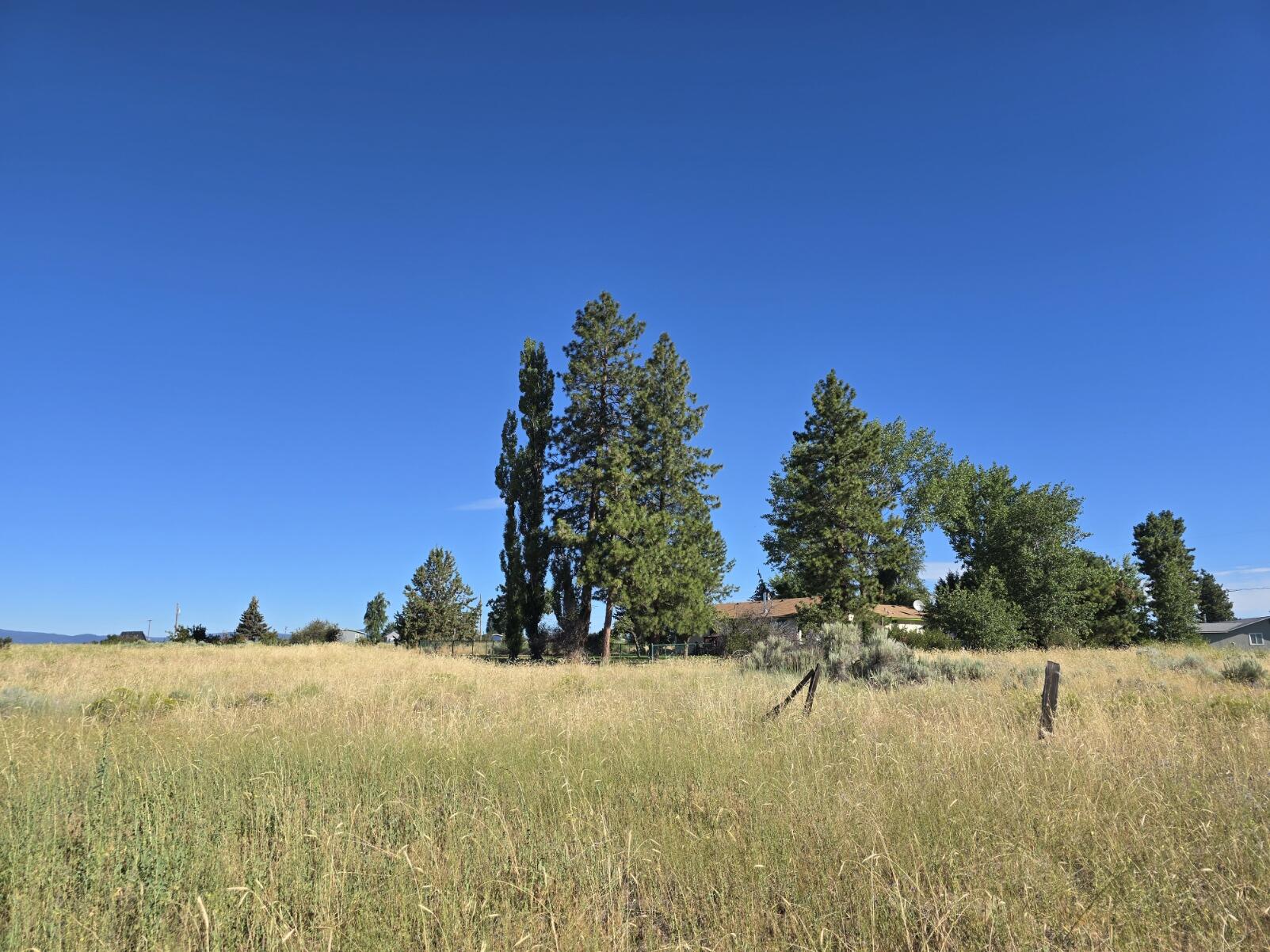 Oregon Shores - Land