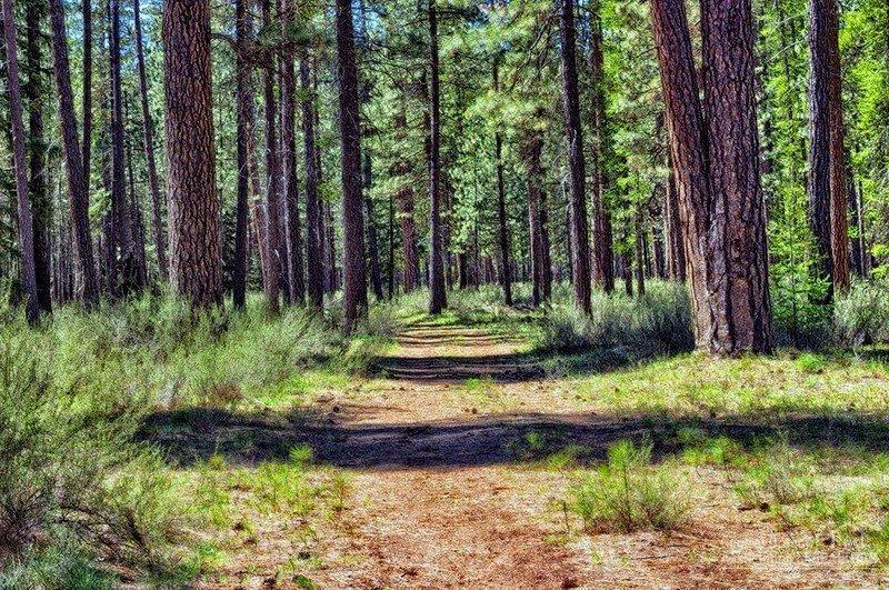 Metolius Meadows - Residential