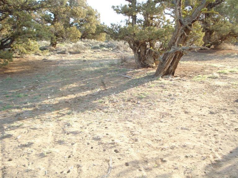 Bend Cascade View - Residential