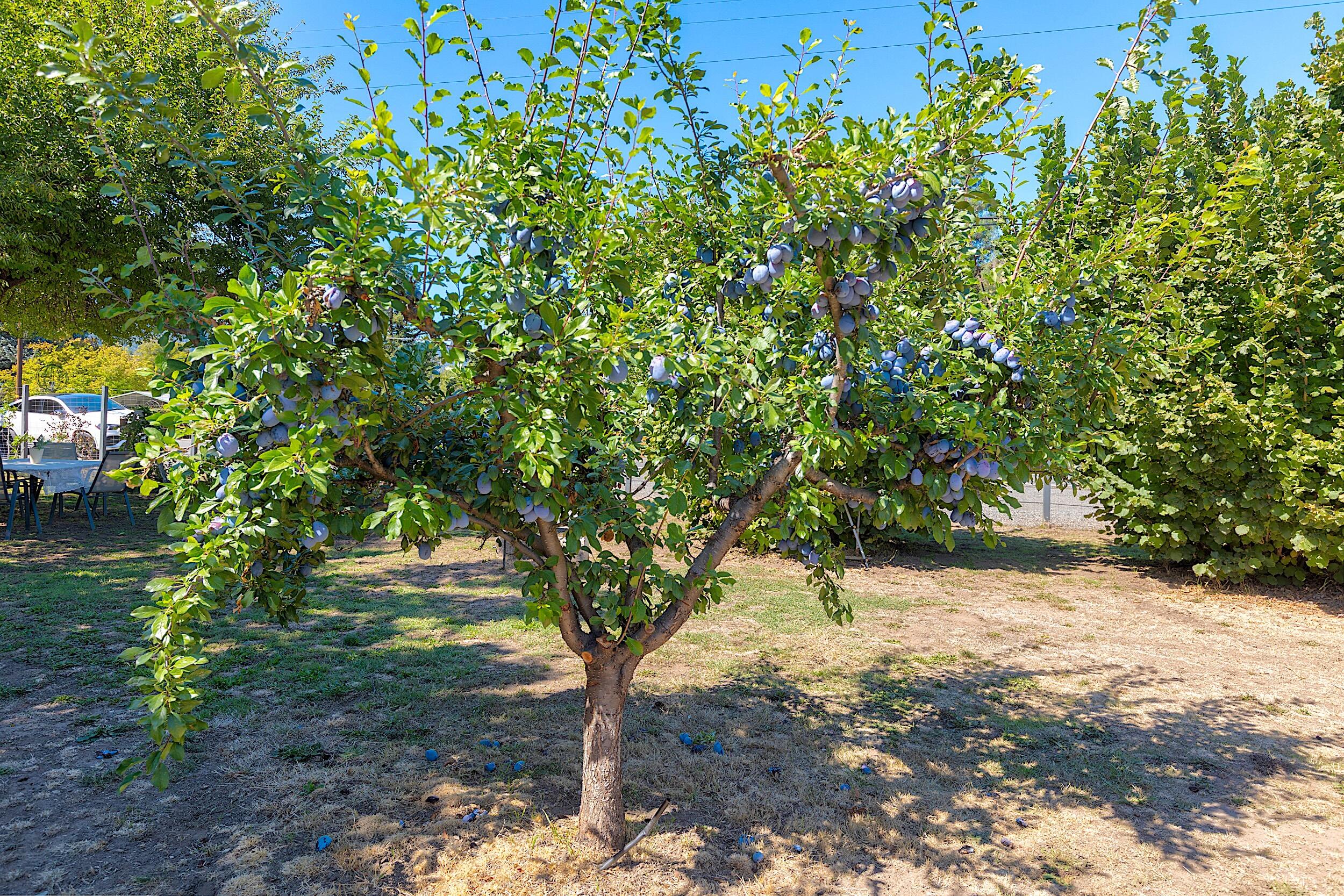 Champlin Subdivision - Residential