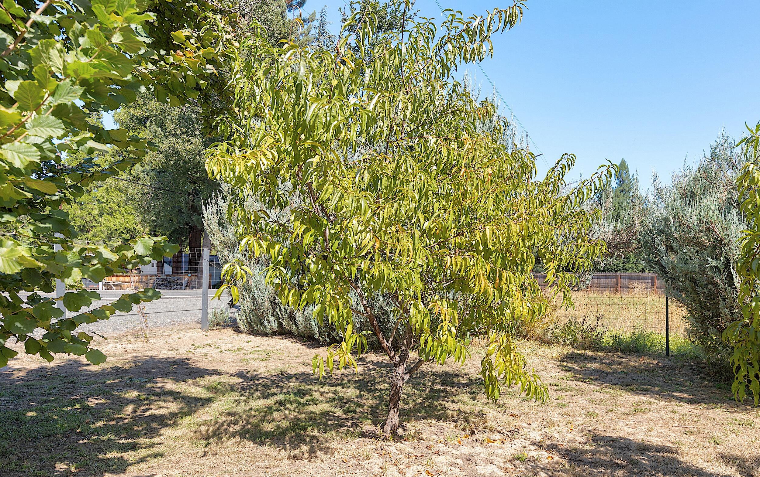 Champlin Subdivision - Residential