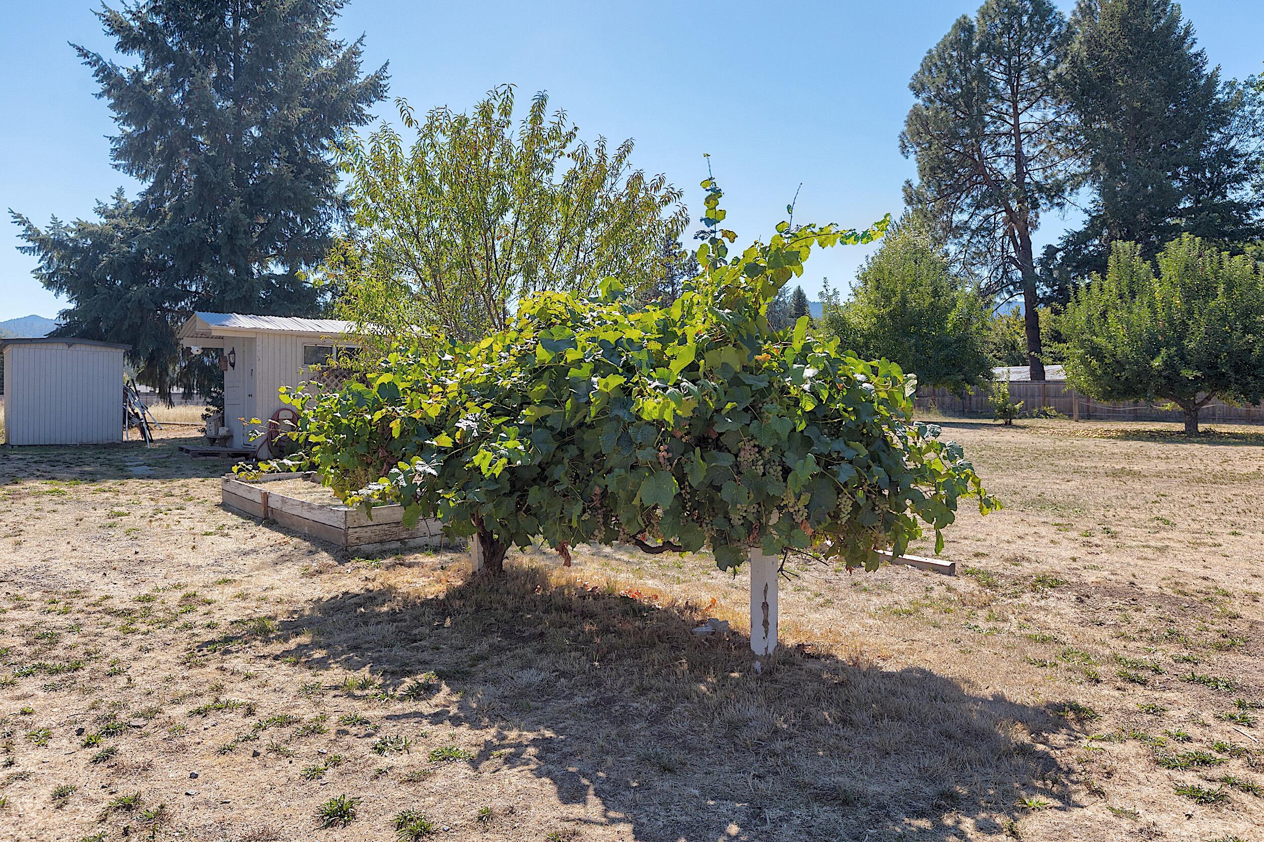 Champlin Subdivision - Residential