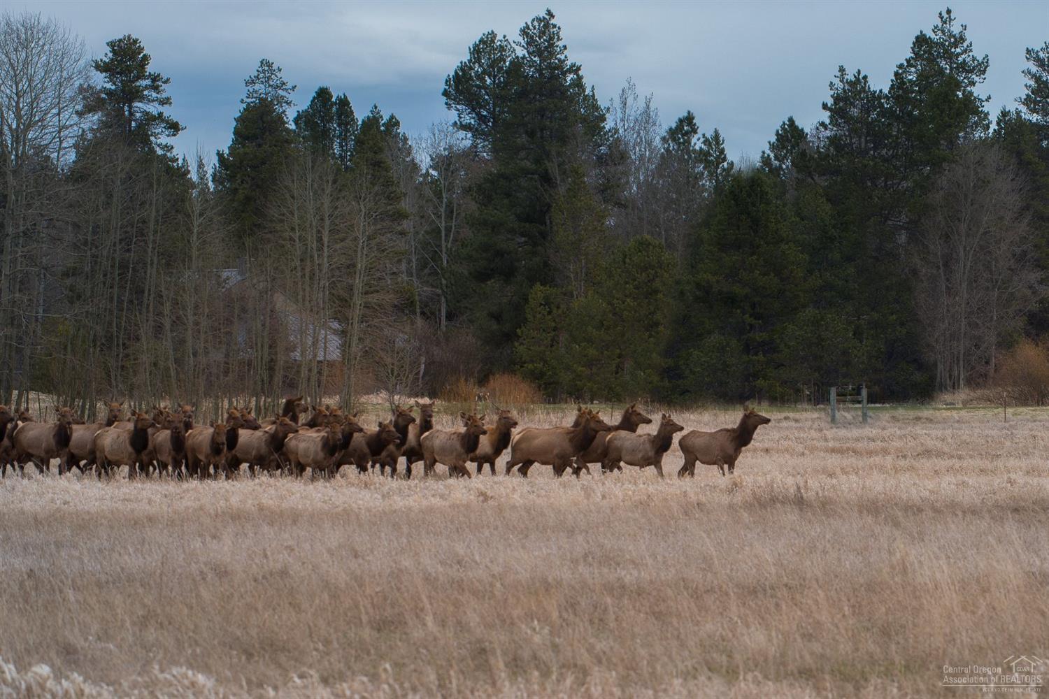 Skypark - Residential