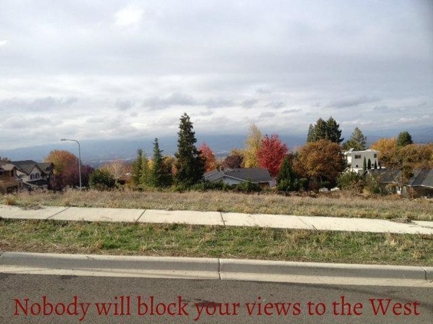 Exceptional lot in East Terrace Estates with amazing views of the city lights. This is a great opportunity to purchase an affordable lot in a neighborhood of $700,000 to $1,000,000 homes. This large lot has city services and is just waiting for you to build your dream home. For other financing options contact listing agent.