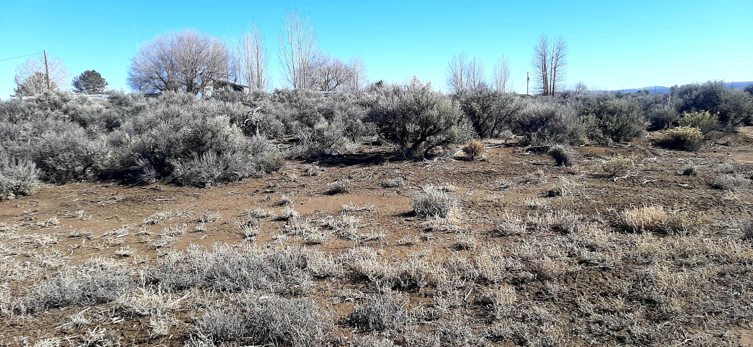 Christmas Valley Unit9 - Land